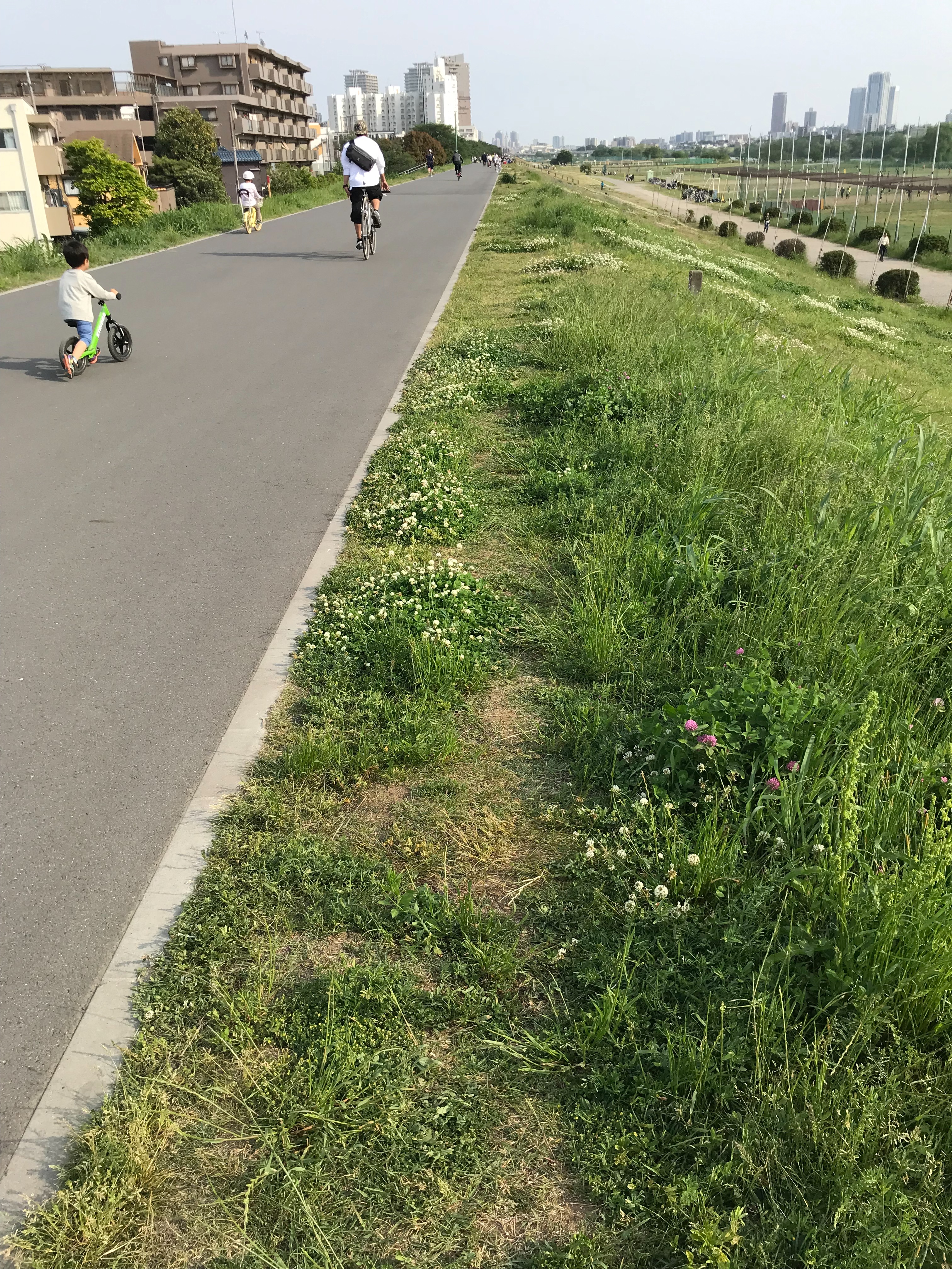 f:id:hatakofuru:20190513195611j:image