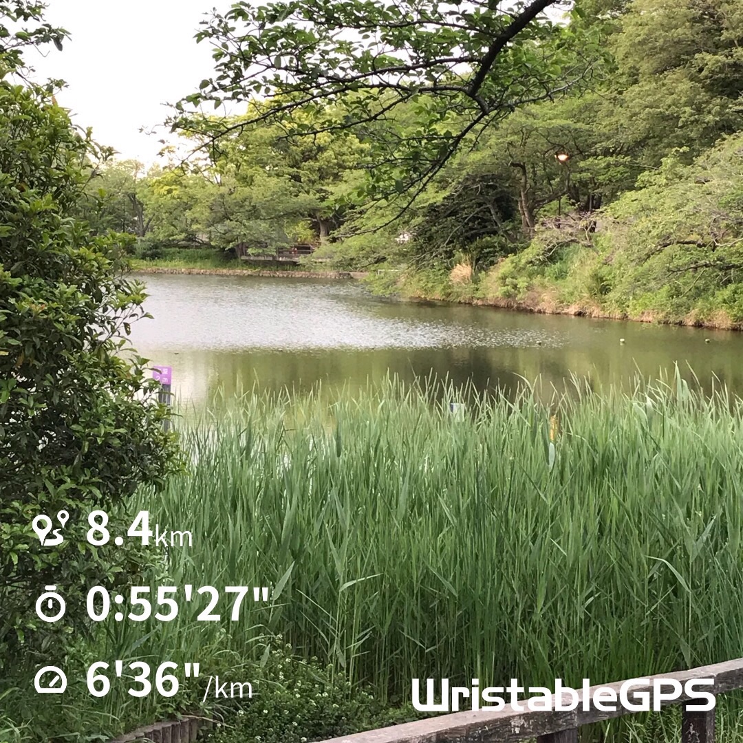f:id:hatakofuru:20190515201102j:image