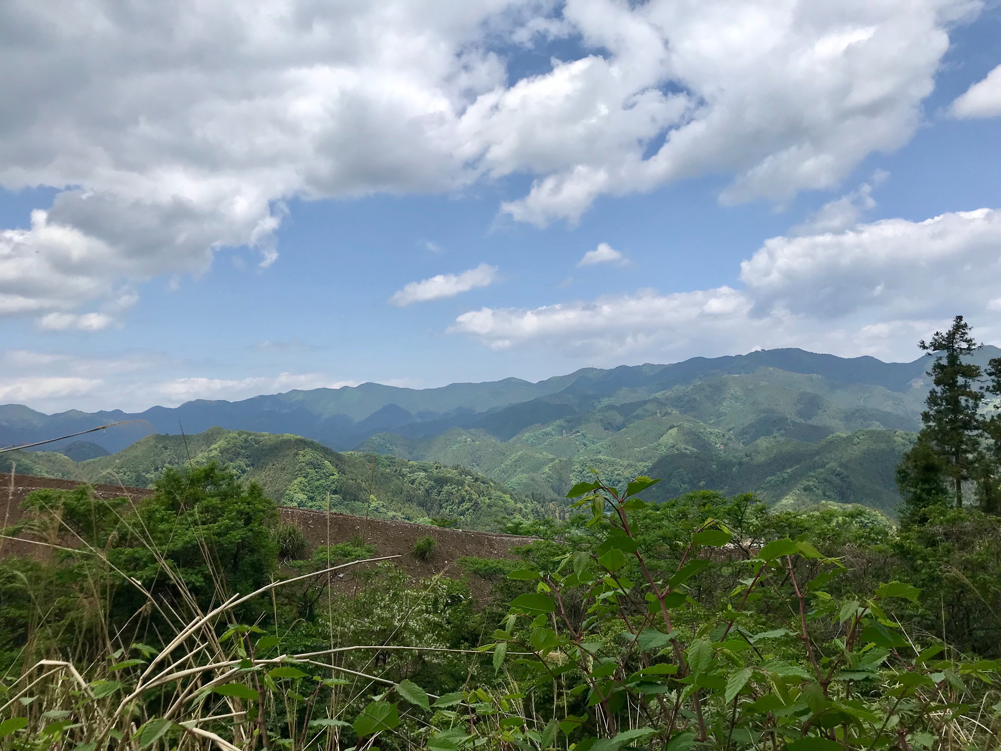 f:id:hatakofuru:20190522195118j:image f:id:hatakofuru:20190522195118j:image
