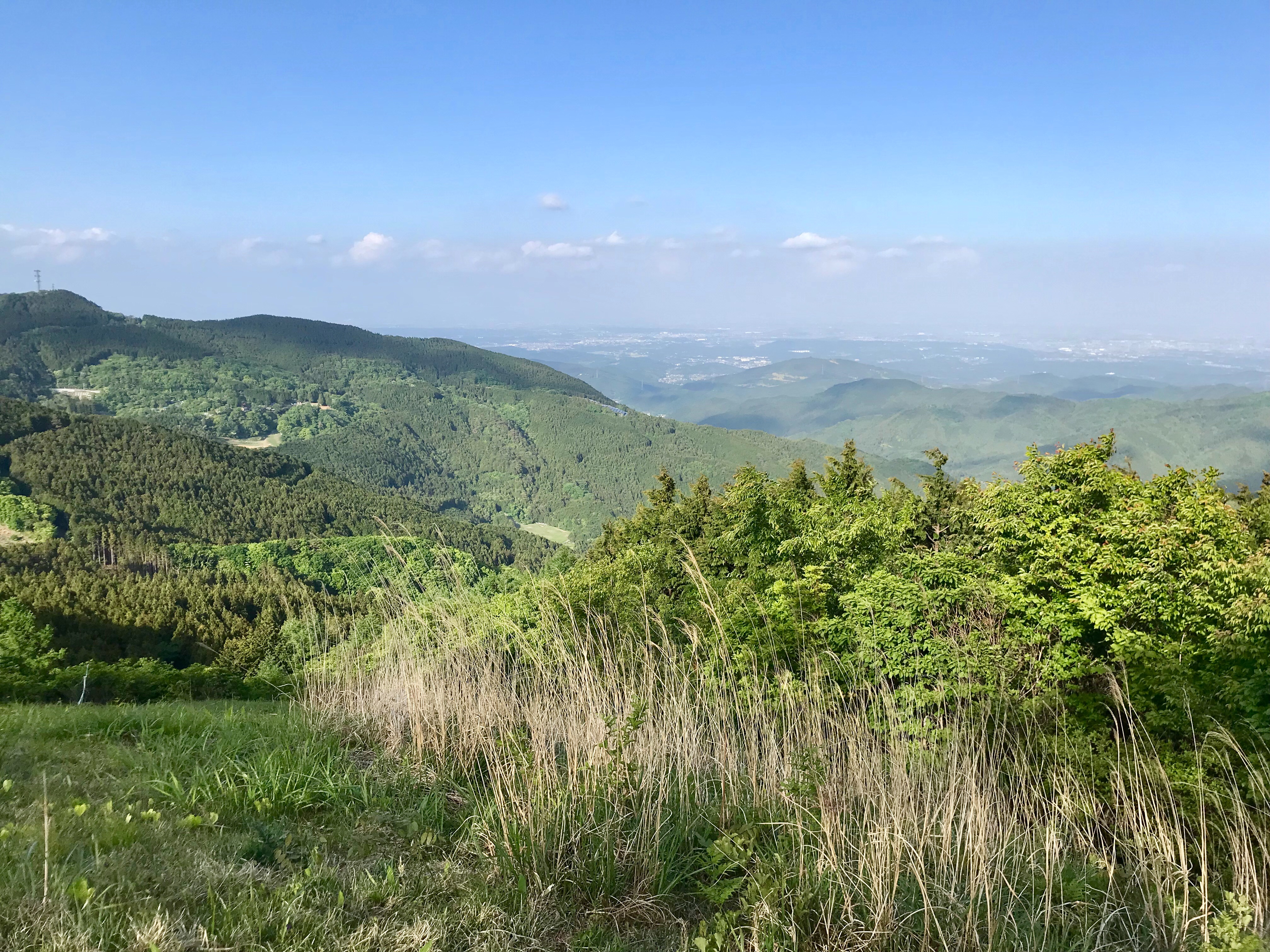 f:id:hatakofuru:20190522195433j:image f:id:hatakofuru:20190522195433j:image