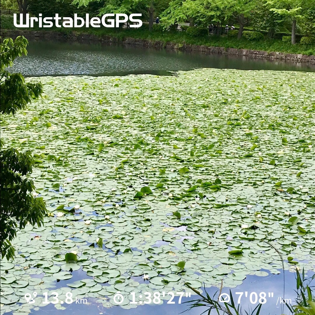 f:id:hatakofuru:20190523080814j:image f:id:hatakofuru:20190523080814j:image