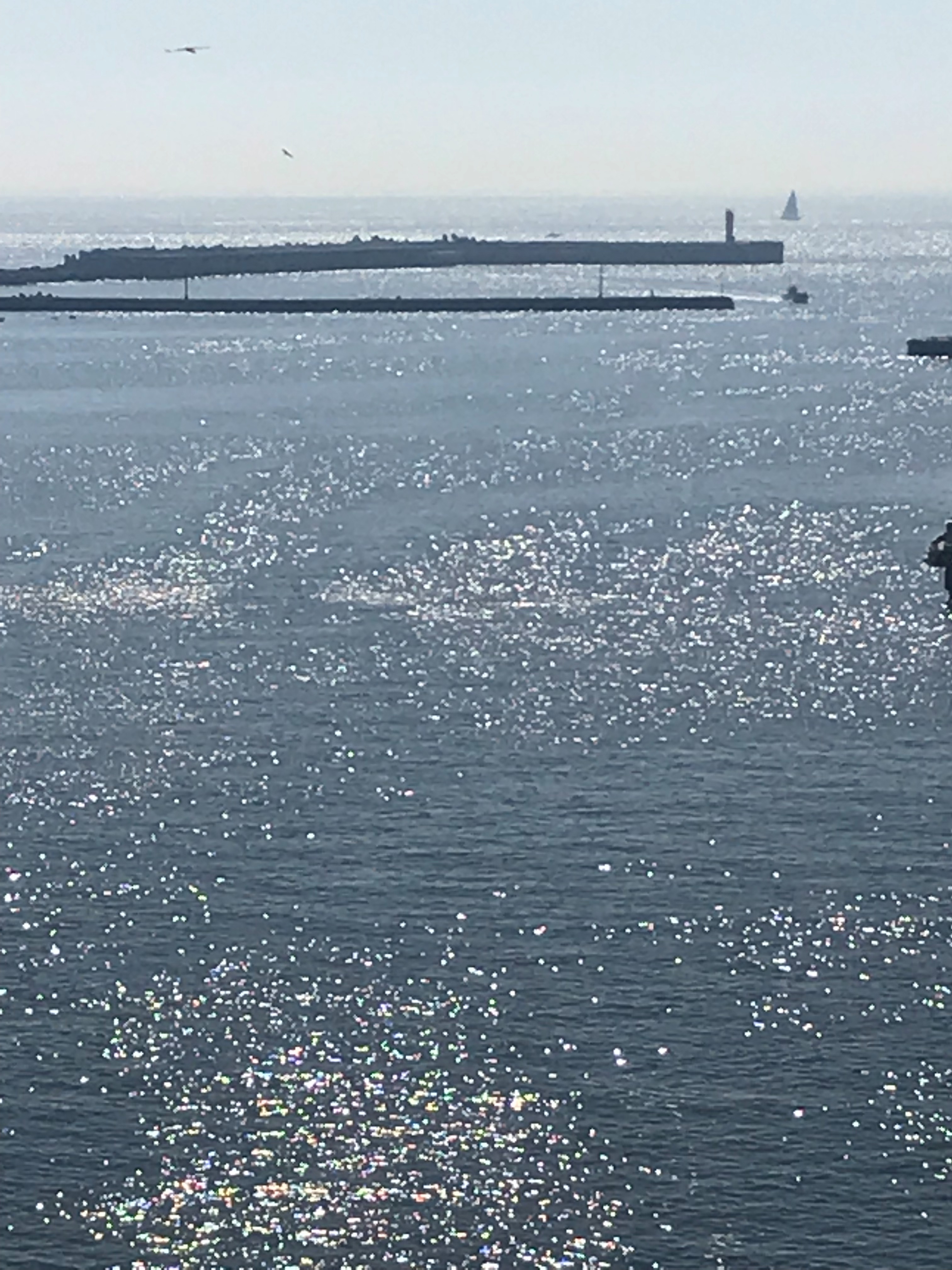 f:id:hatakofuru:20190528075448j:image