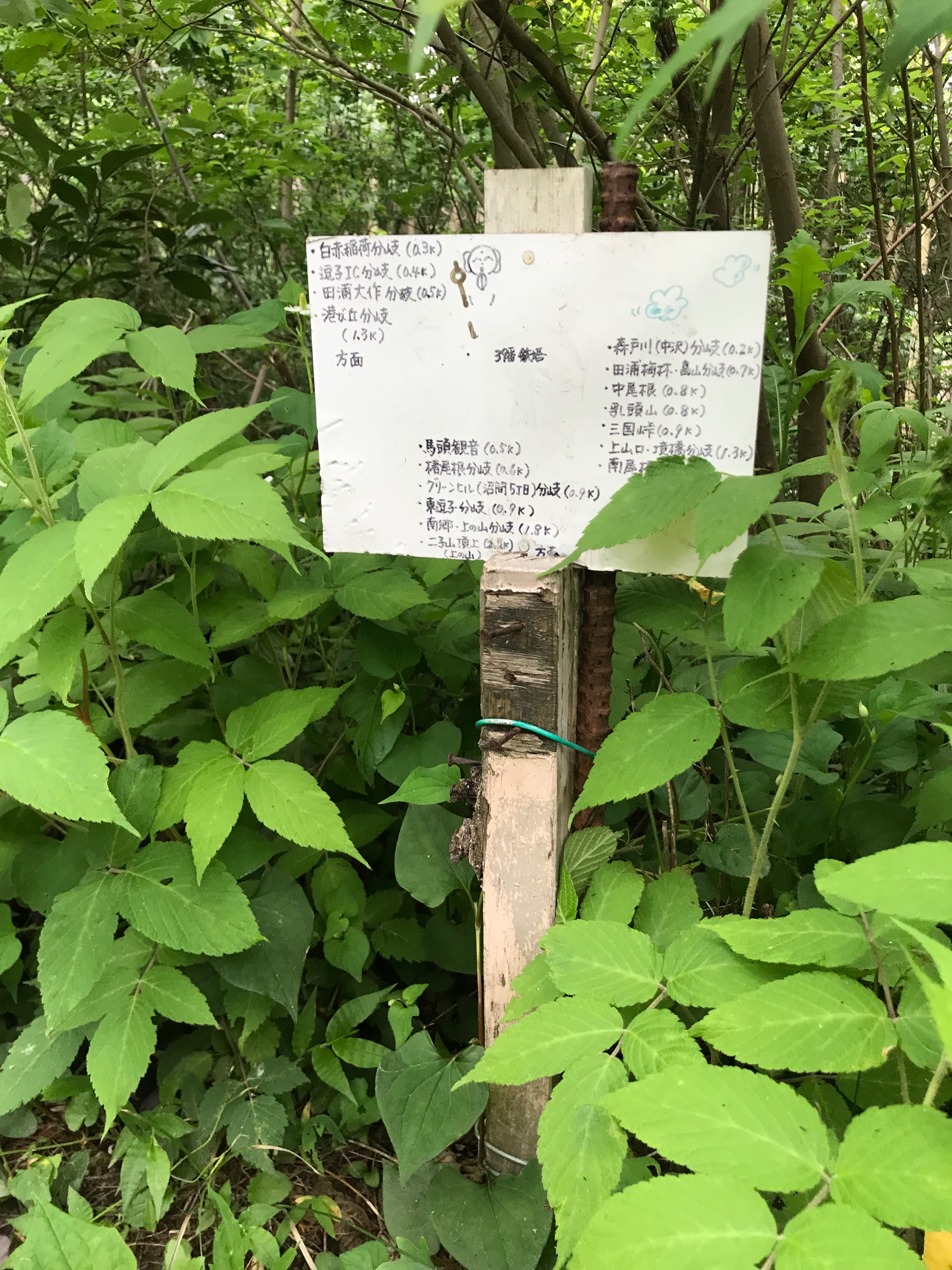 f:id:hatakofuru:20190603181314j:image
