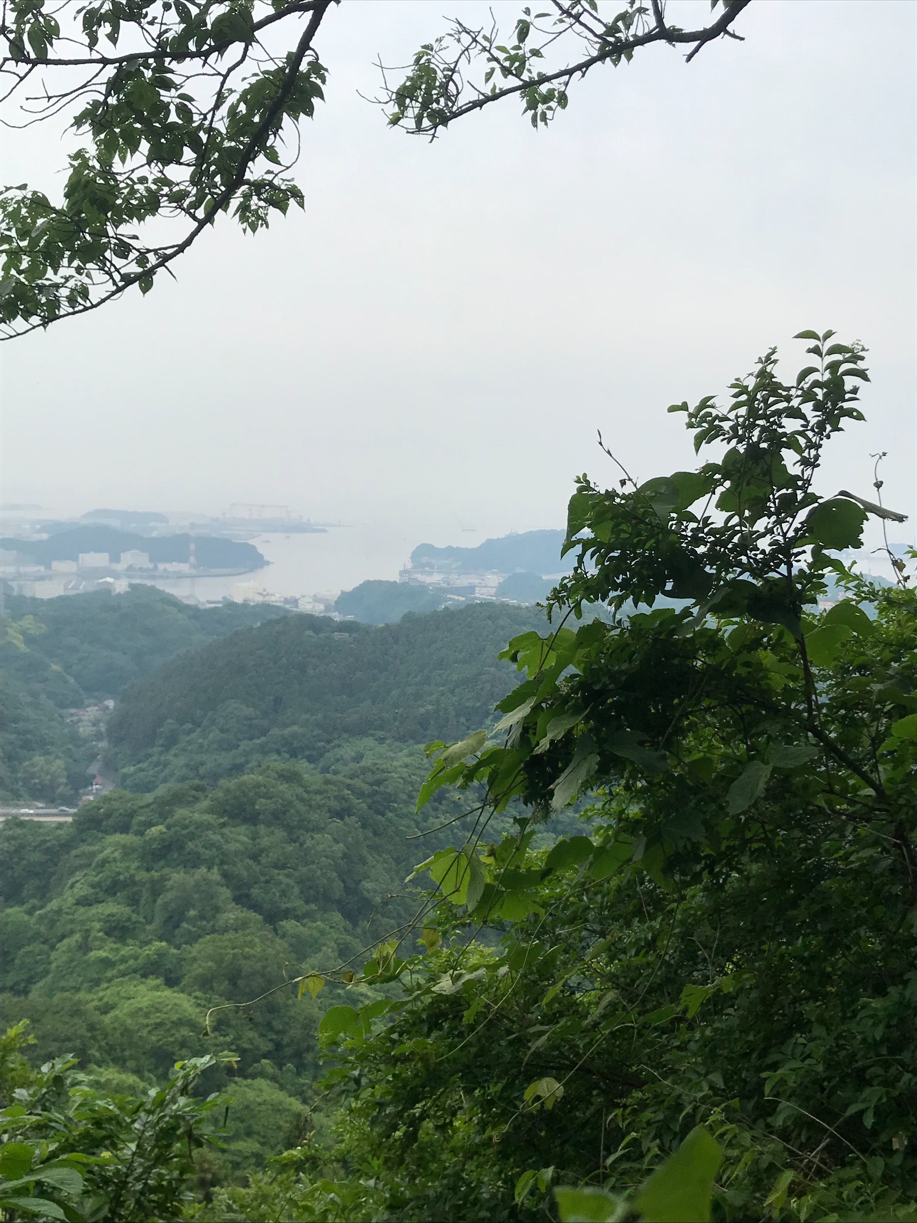 f:id:hatakofuru:20190603181547j:image
