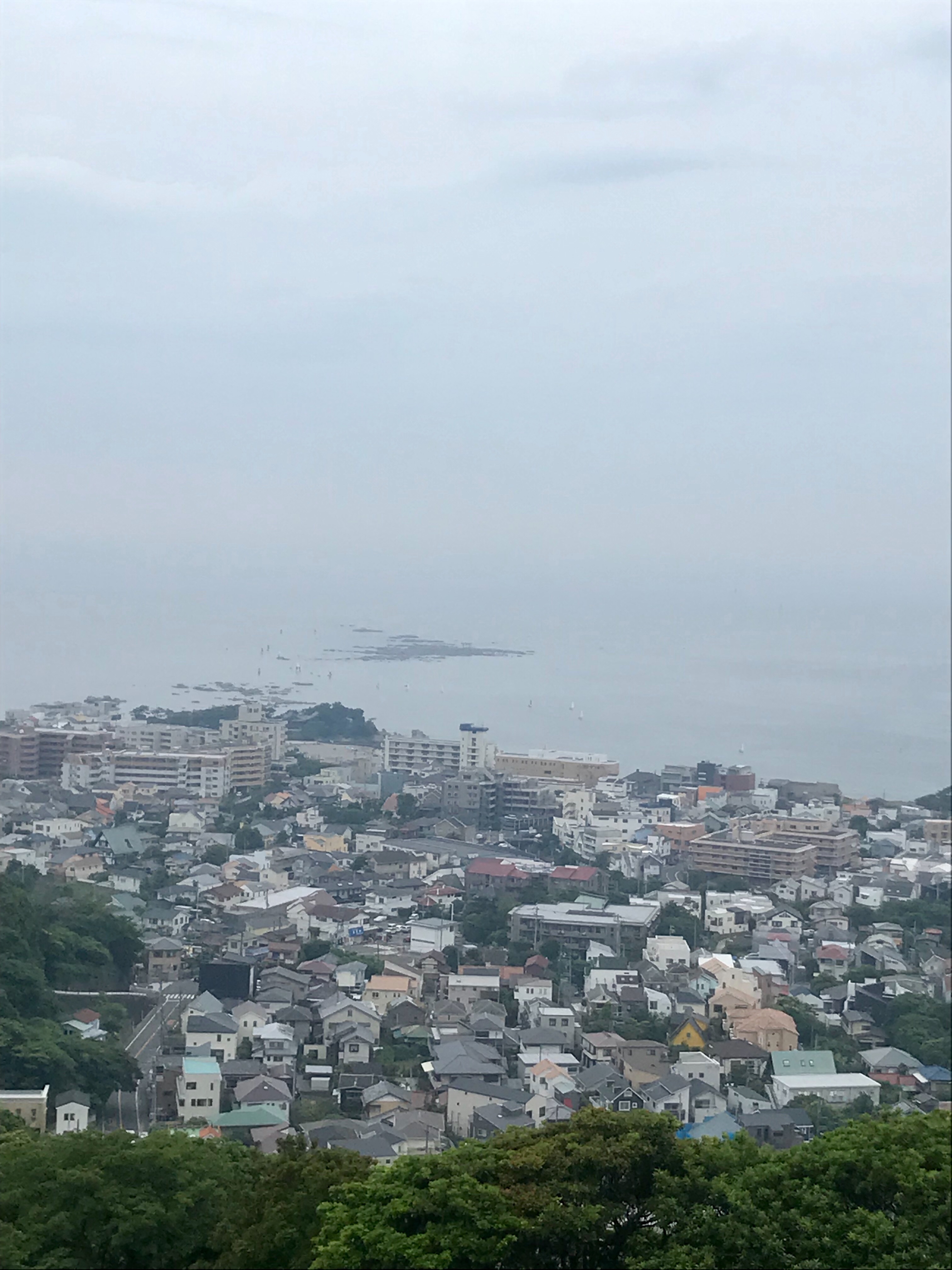f:id:hatakofuru:20190603181742j:image