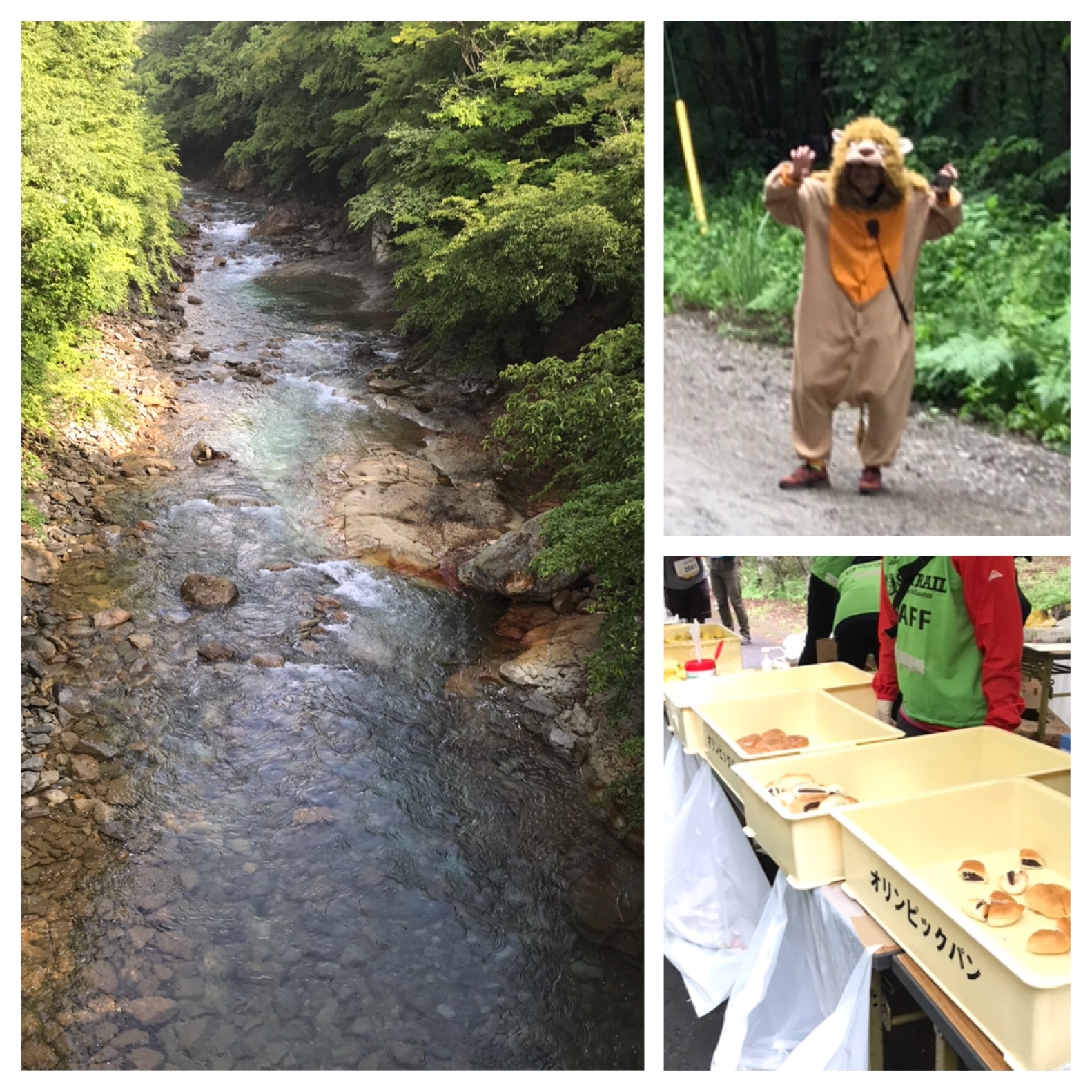 f:id:hatakofuru:20190626222419j:image f:id:hatakofuru:20190626222419j:image