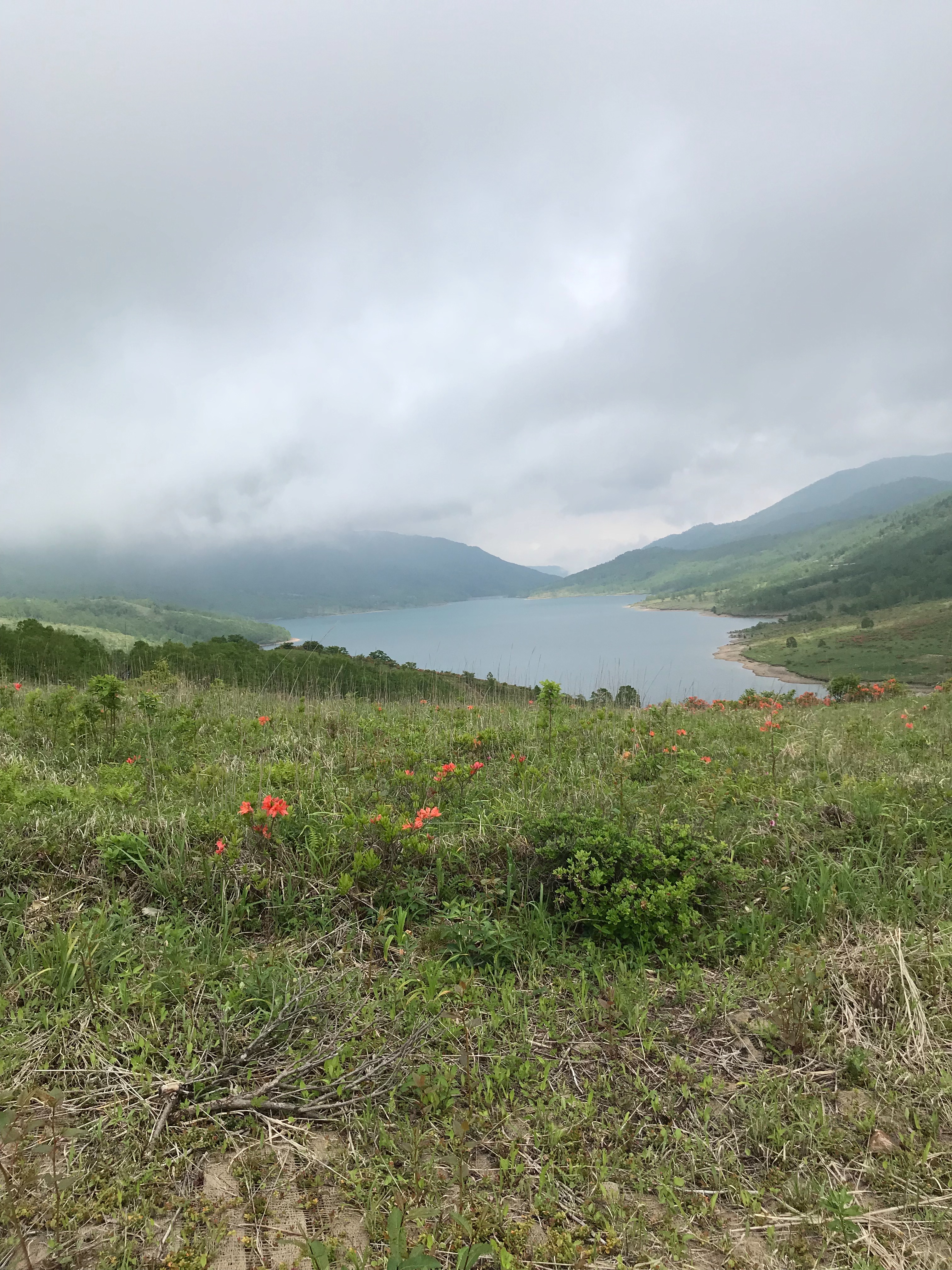 f:id:hatakofuru:20190627194406j:image f:id:hatakofuru:20190627194406j:image