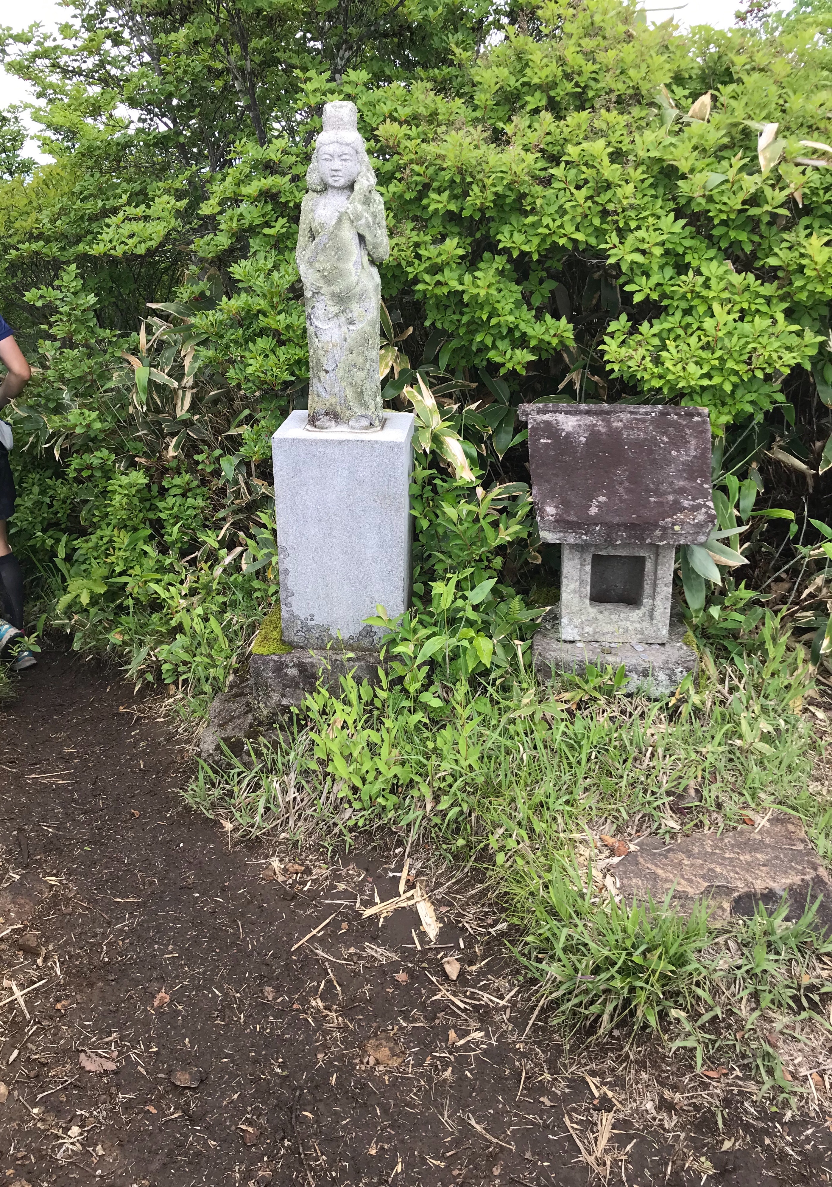 f:id:hatakofuru:20190627195056j:image f:id:hatakofuru:20190627195056j:image