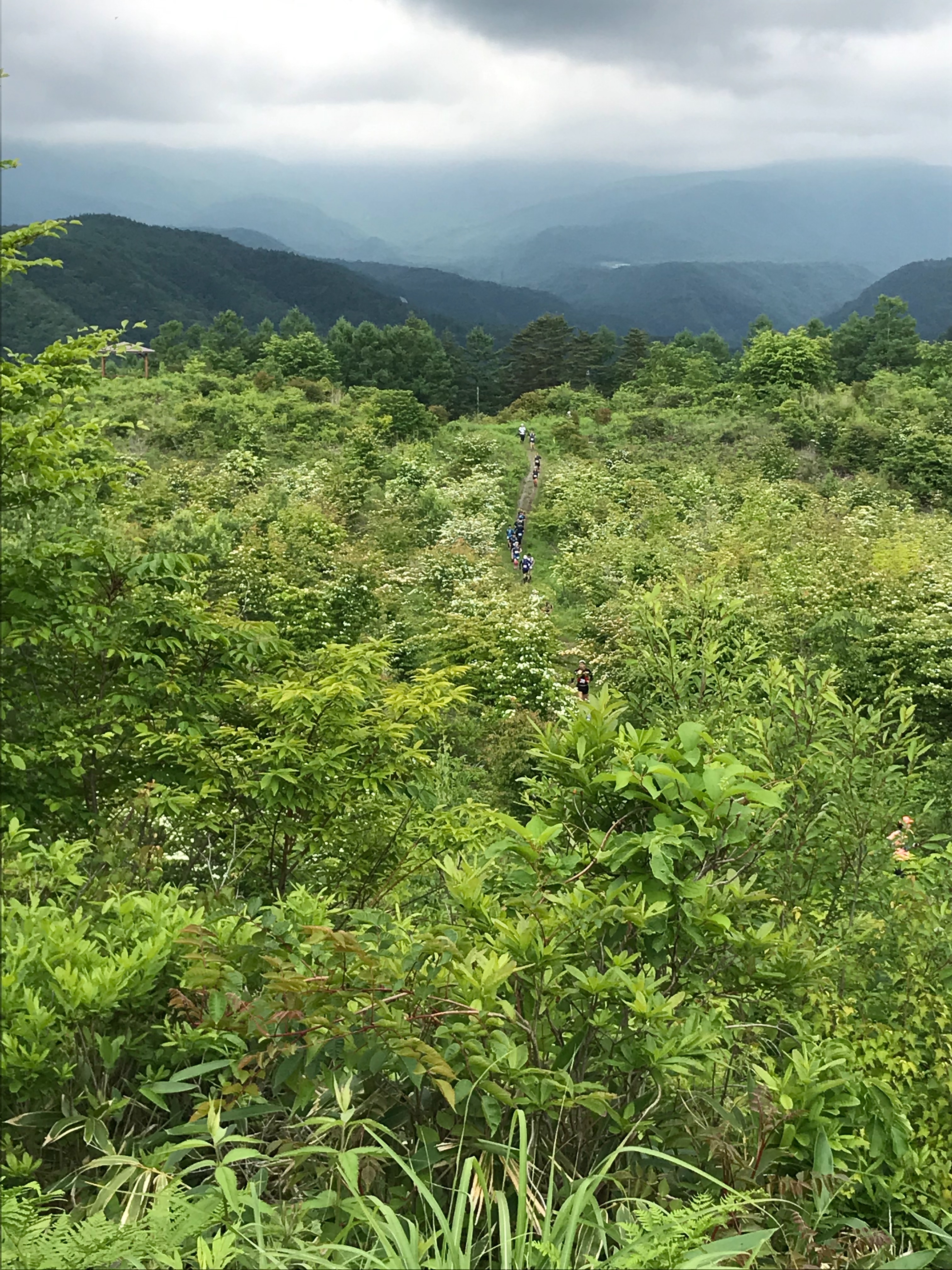 f:id:hatakofuru:20190627205331j:image f:id:hatakofuru:20190627205331j:image