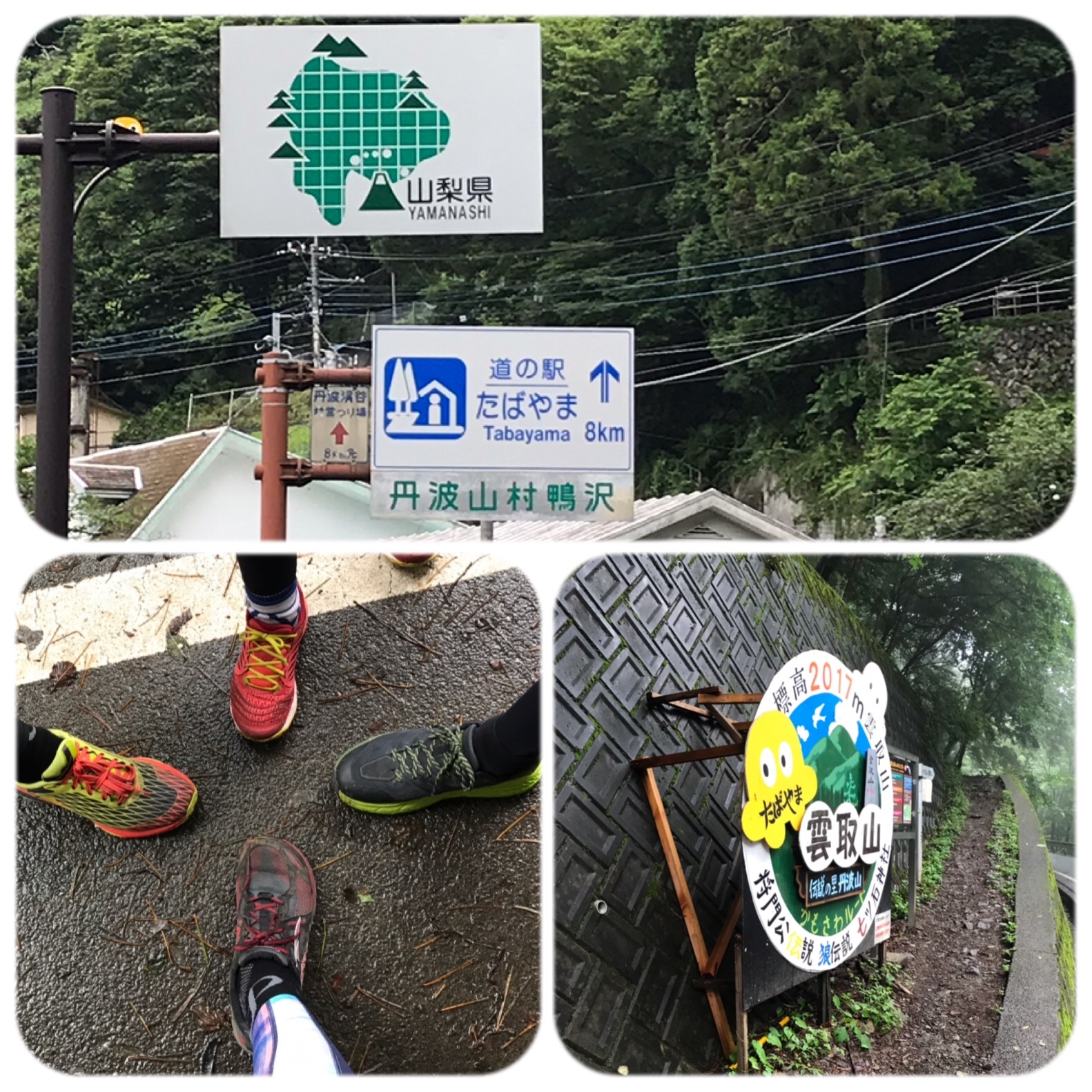 f:id:hatakofuru:20190708171447j:image f:id:hatakofuru:20190708171447j:image