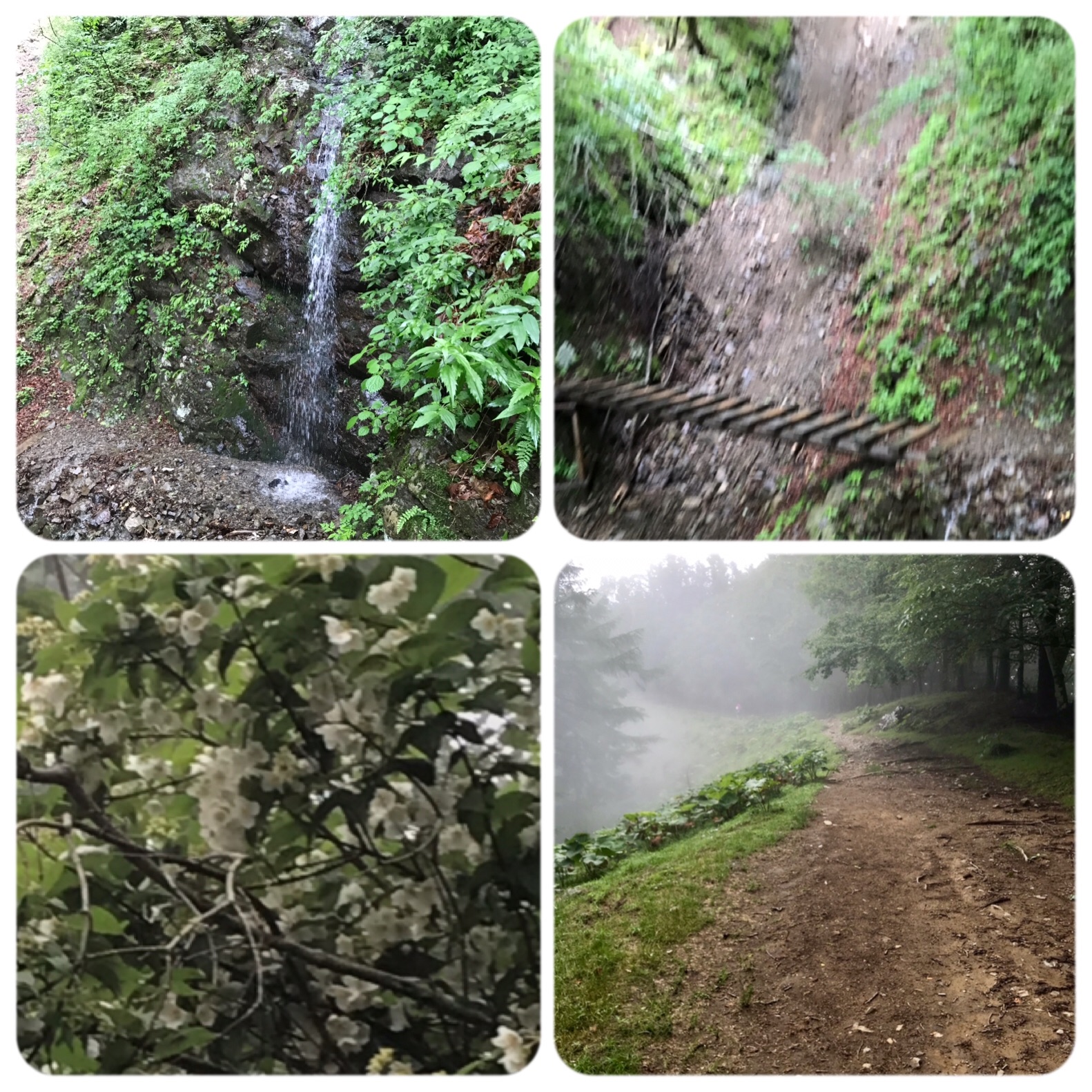 f:id:hatakofuru:20190708171920j:image f:id:hatakofuru:20190708171920j:image
