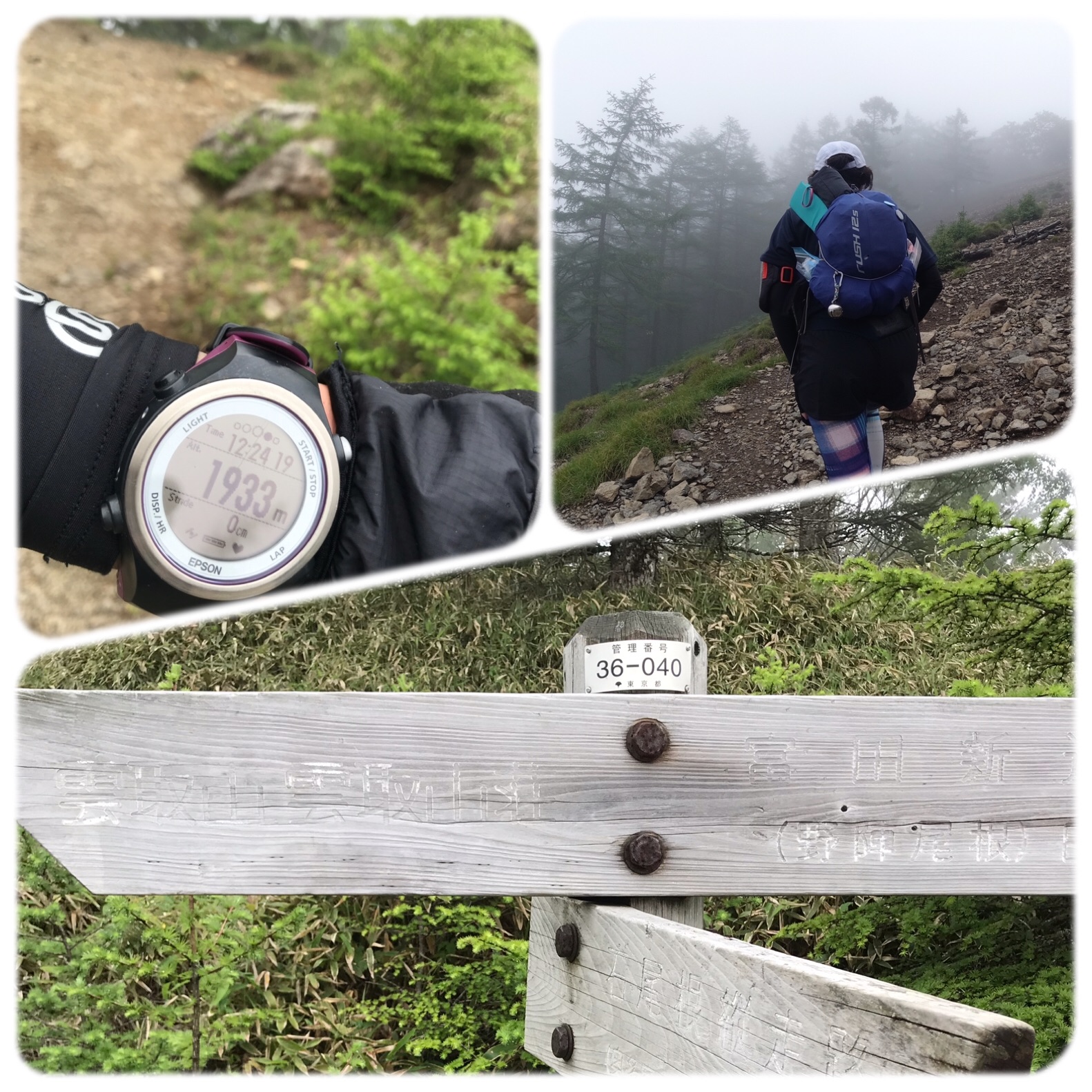 f:id:hatakofuru:20190708172733j:image f:id:hatakofuru:20190708172733j:image