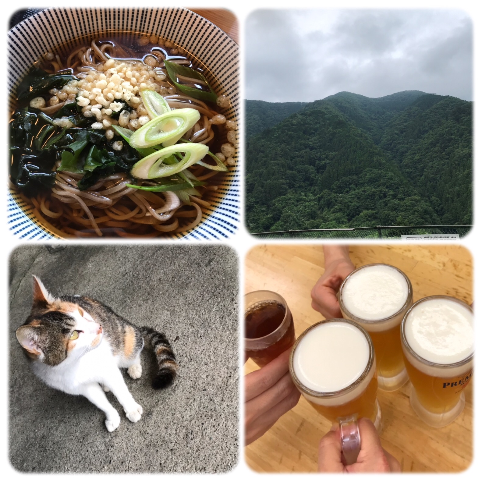 f:id:hatakofuru:20190708203854j:image f:id:hatakofuru:20190708203854j:image