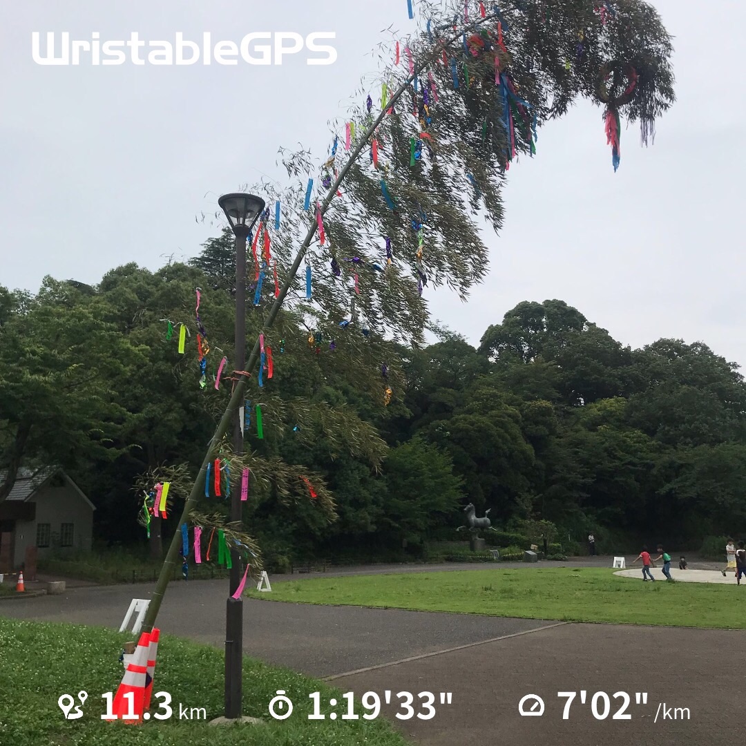 f:id:hatakofuru:20190708220240j:image f:id:hatakofuru:20190708220240j:image