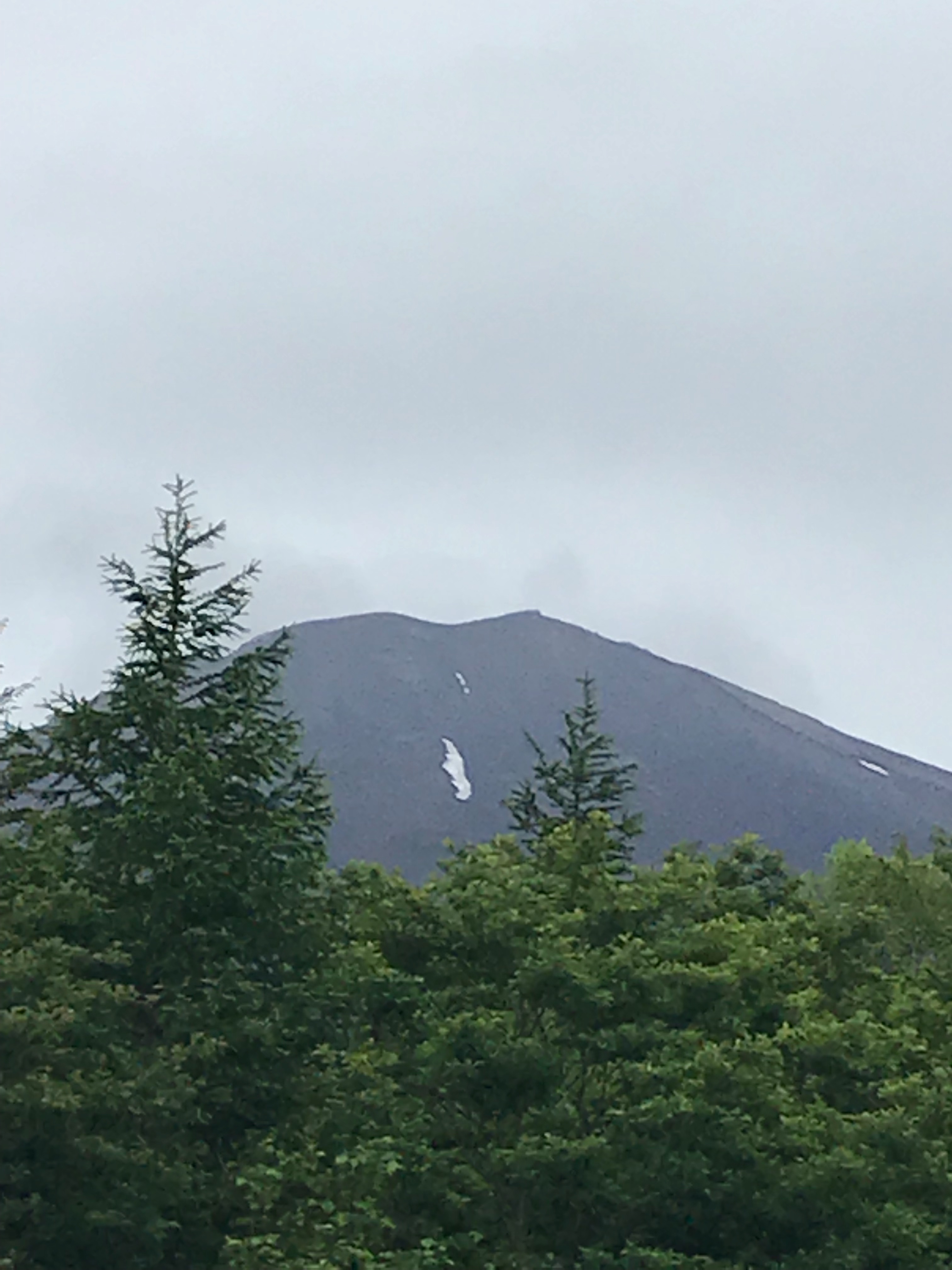 f:id:hatakofuru:20190721195952j:image f:id:hatakofuru:20190721195952j:image