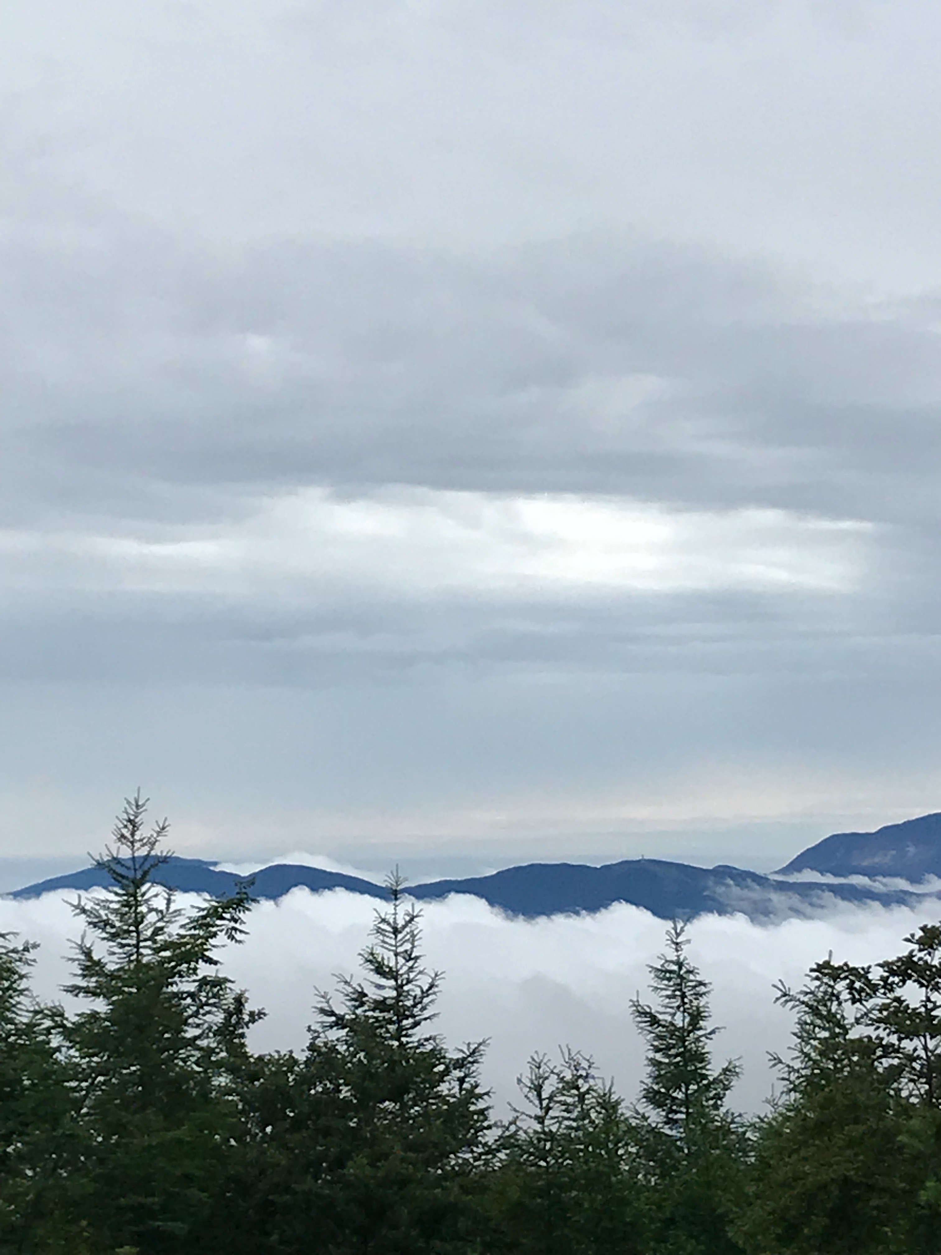 f:id:hatakofuru:20190721200045j:image f:id:hatakofuru:20190721200045j:image