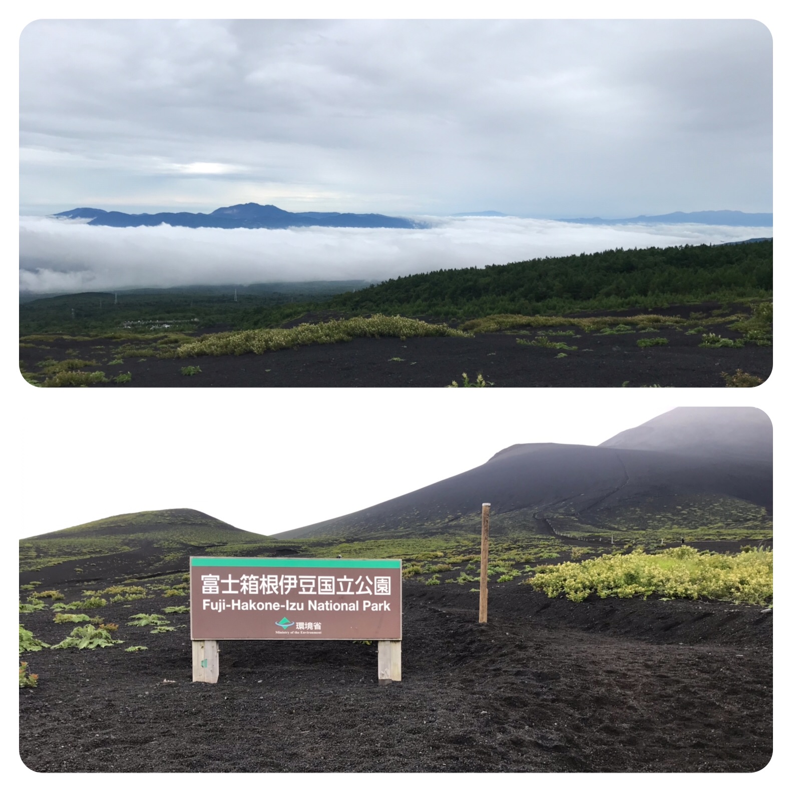 f:id:hatakofuru:20190721200618j:image f:id:hatakofuru:20190721200618j:image