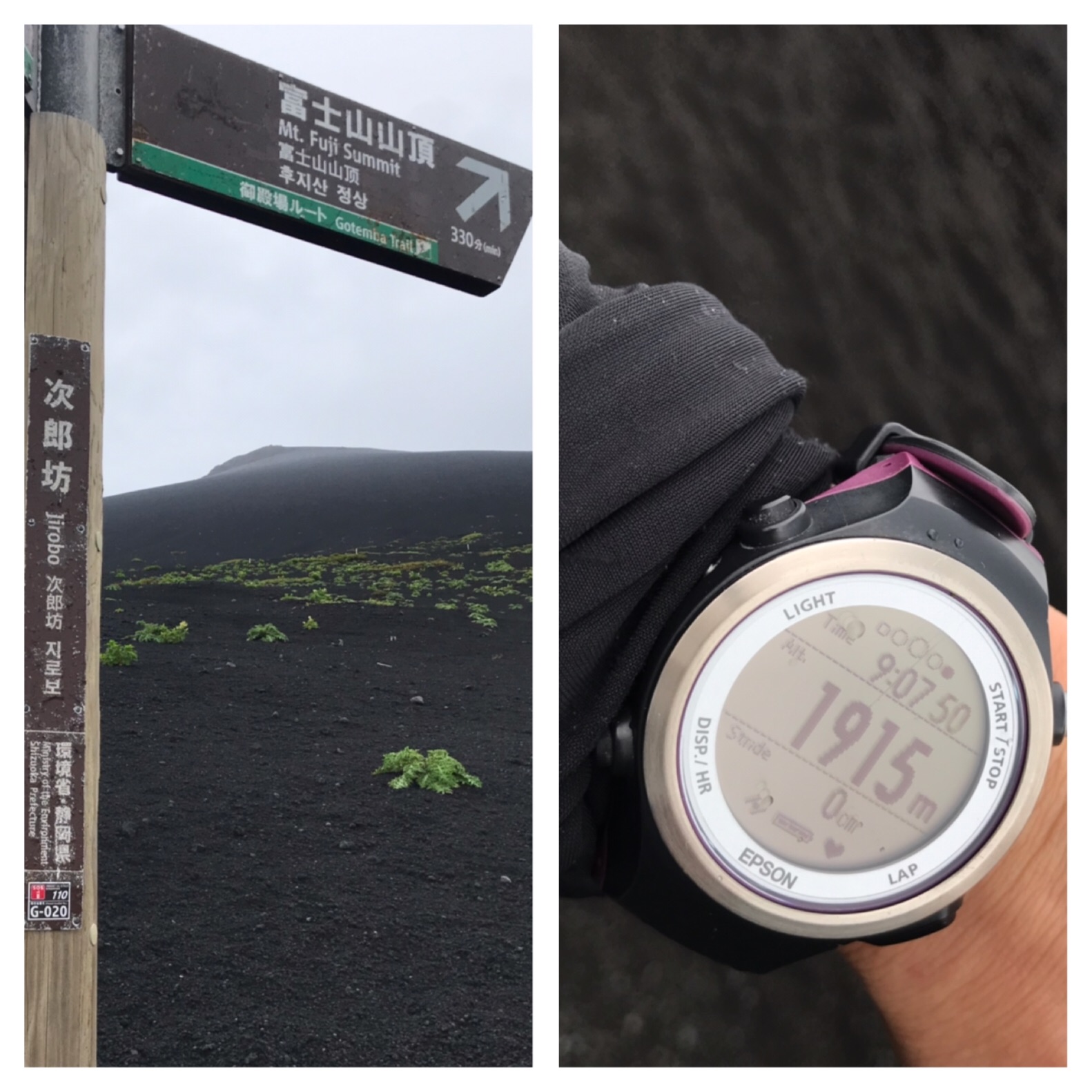 f:id:hatakofuru:20190721201018j:image f:id:hatakofuru:20190721201018j:image