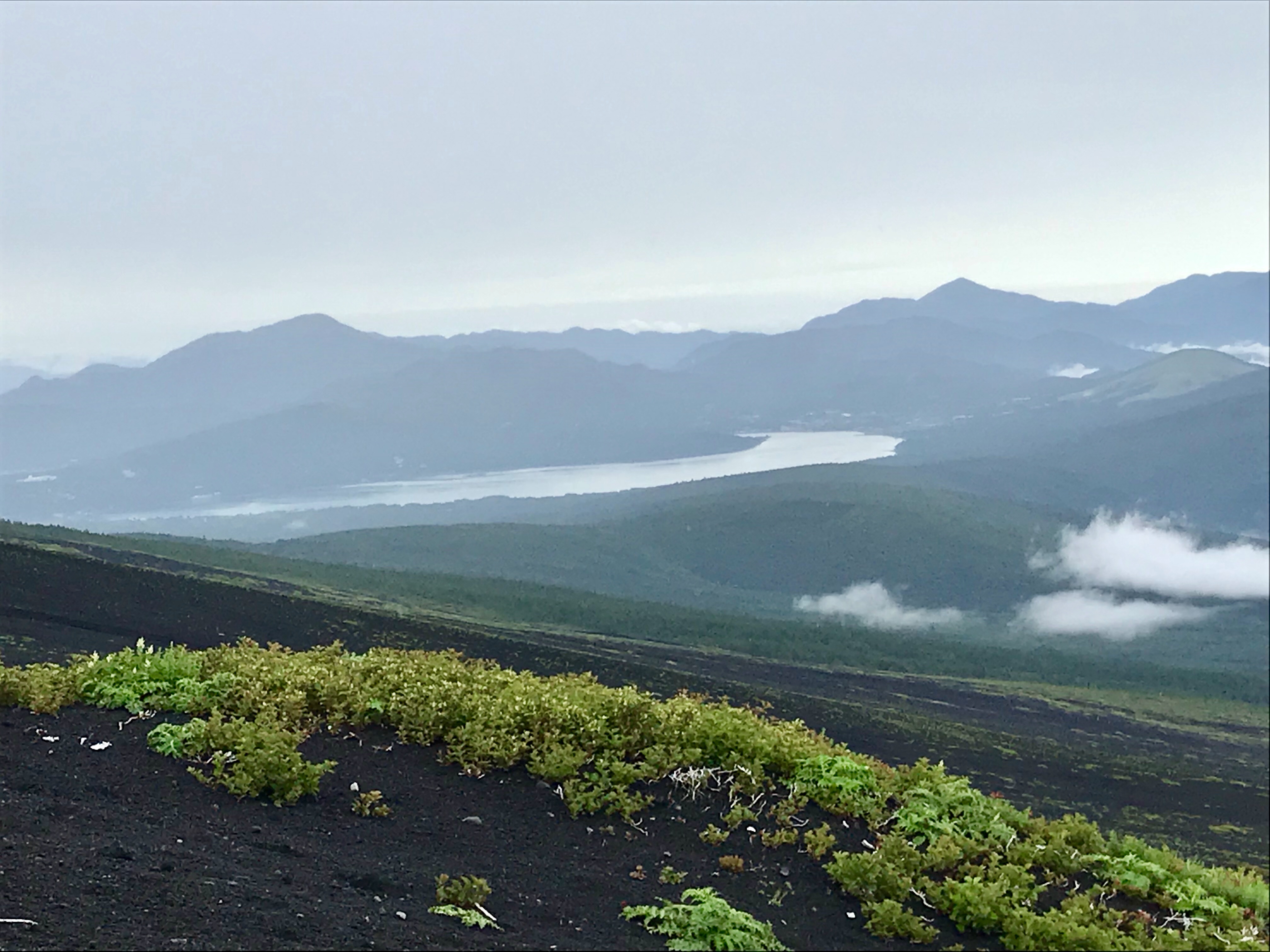f:id:hatakofuru:20190721201410j:image f:id:hatakofuru:20190721201410j:image