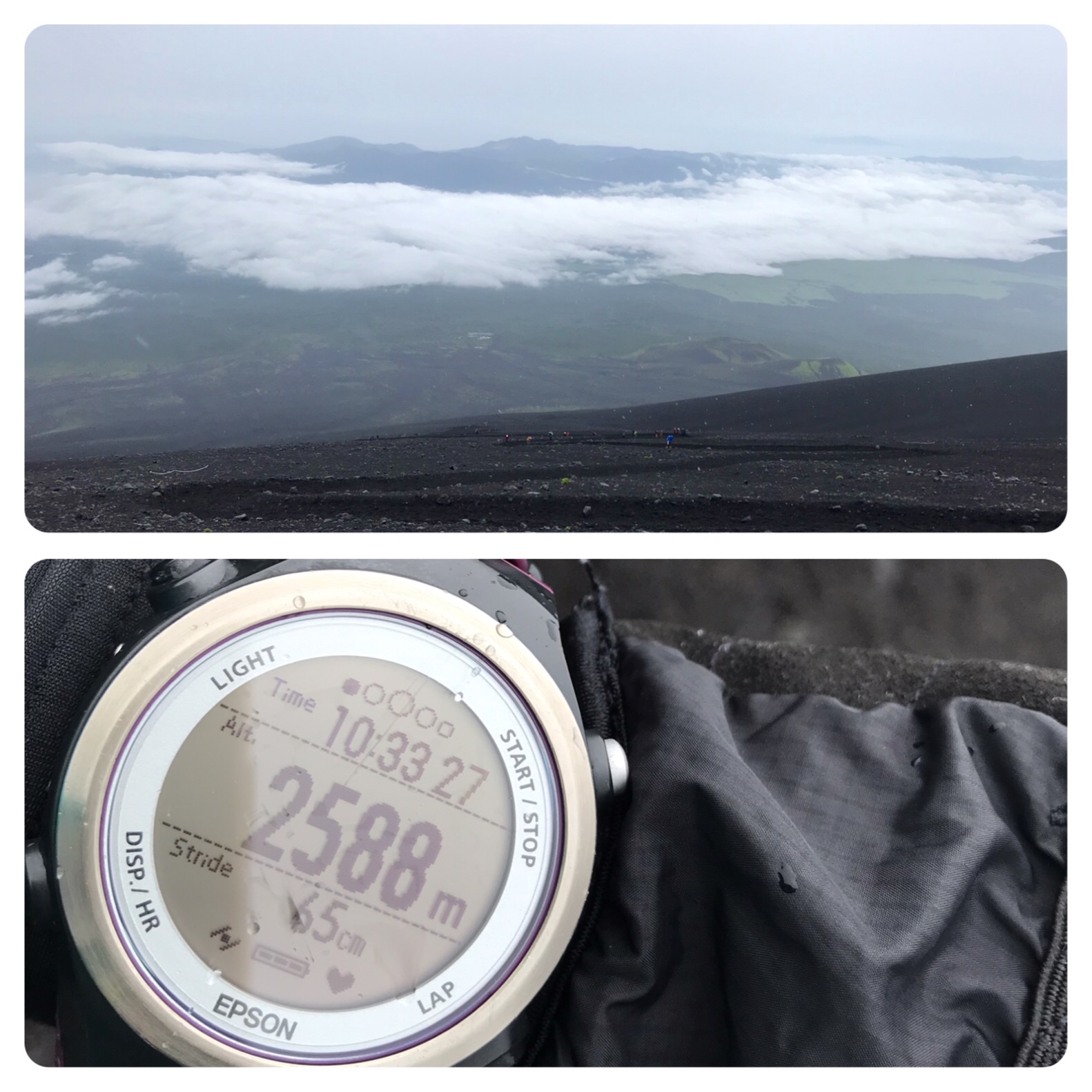 f:id:hatakofuru:20190721201844j:image f:id:hatakofuru:20190721201844j:image