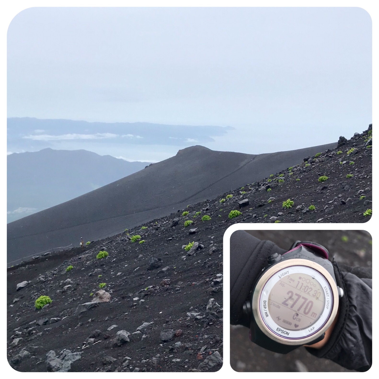 f:id:hatakofuru:20190721202538j:image f:id:hatakofuru:20190721202538j:image