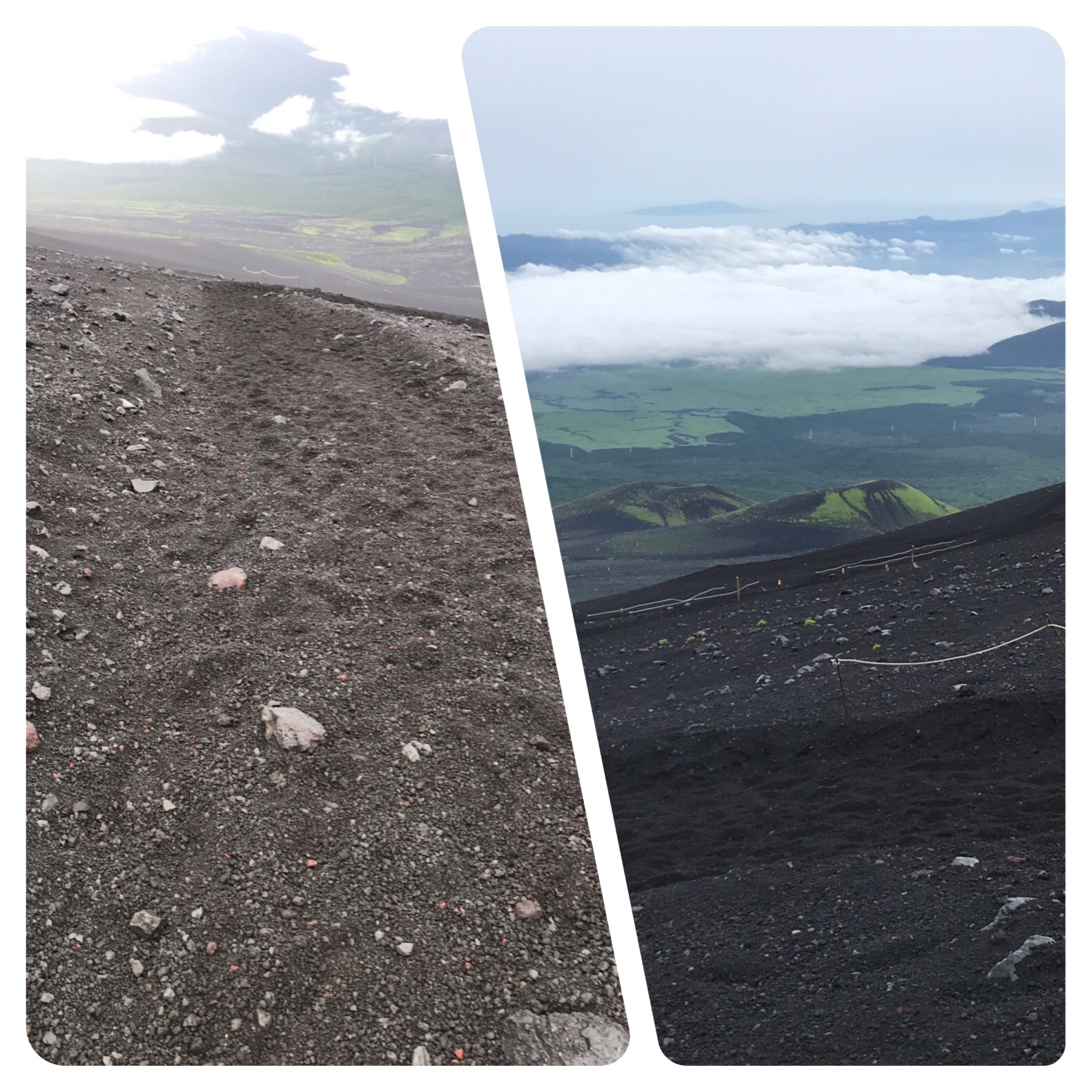f:id:hatakofuru:20190721203341j:image f:id:hatakofuru:20190721203341j:image