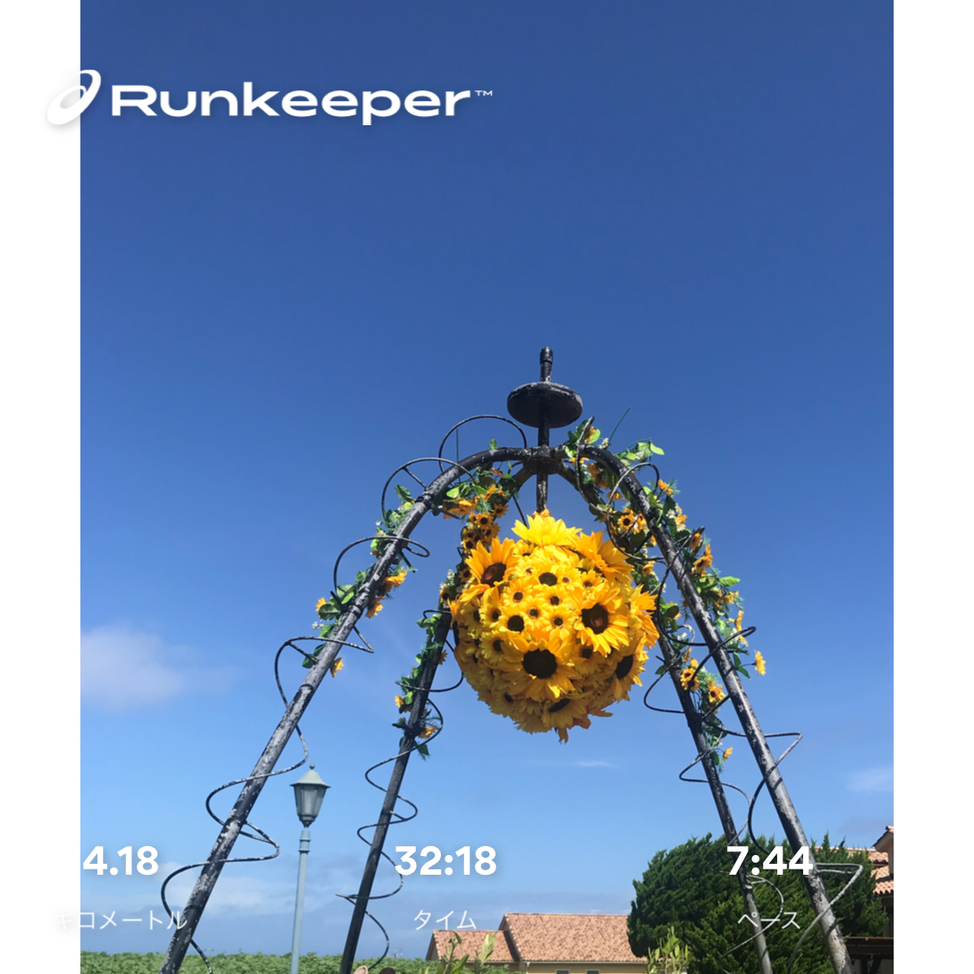 f:id:hatakofuru:20190729121408p:image f:id:hatakofuru:20190729121408p:image