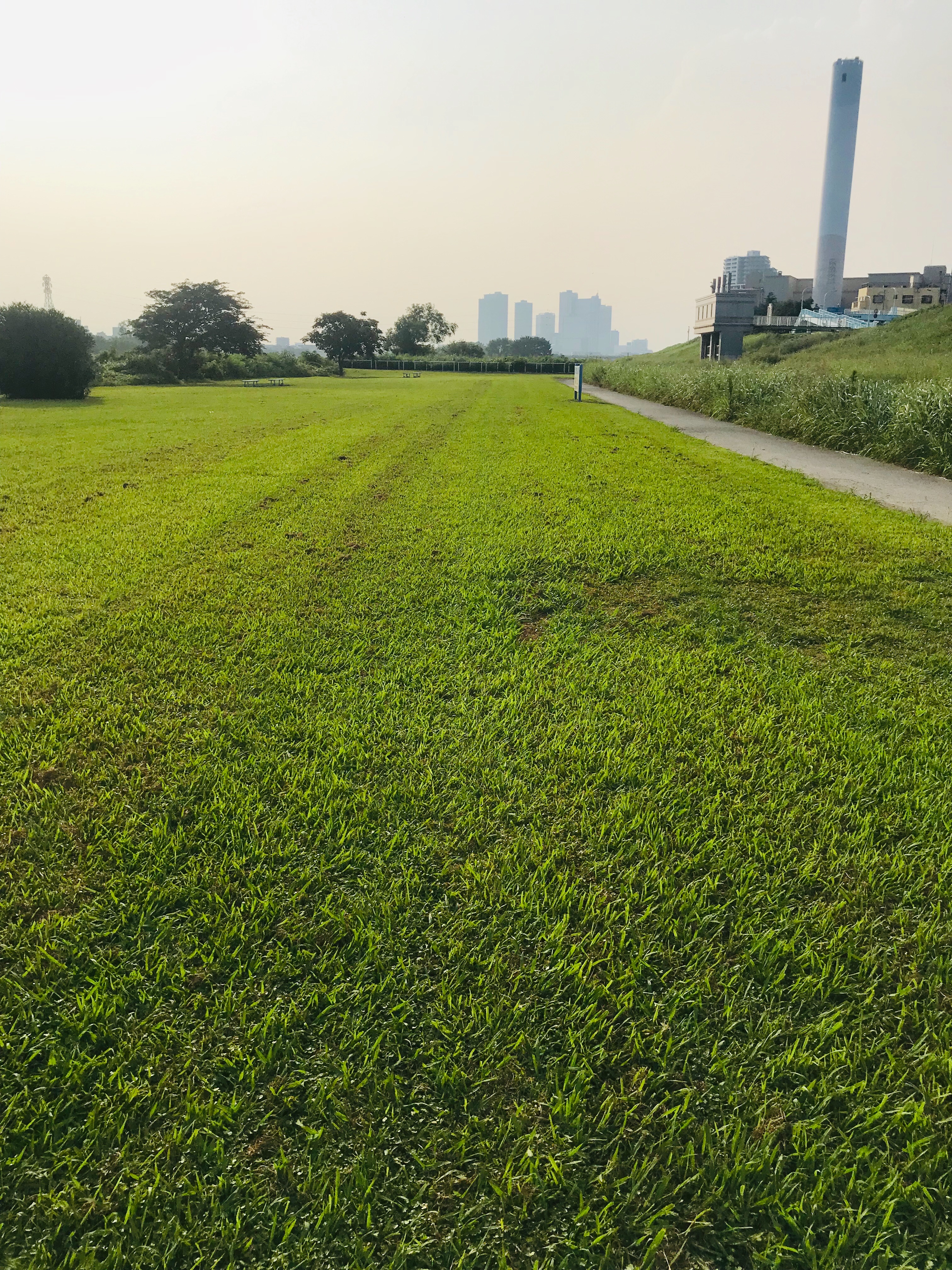 f:id:hatakofuru:20190804075322j:image
