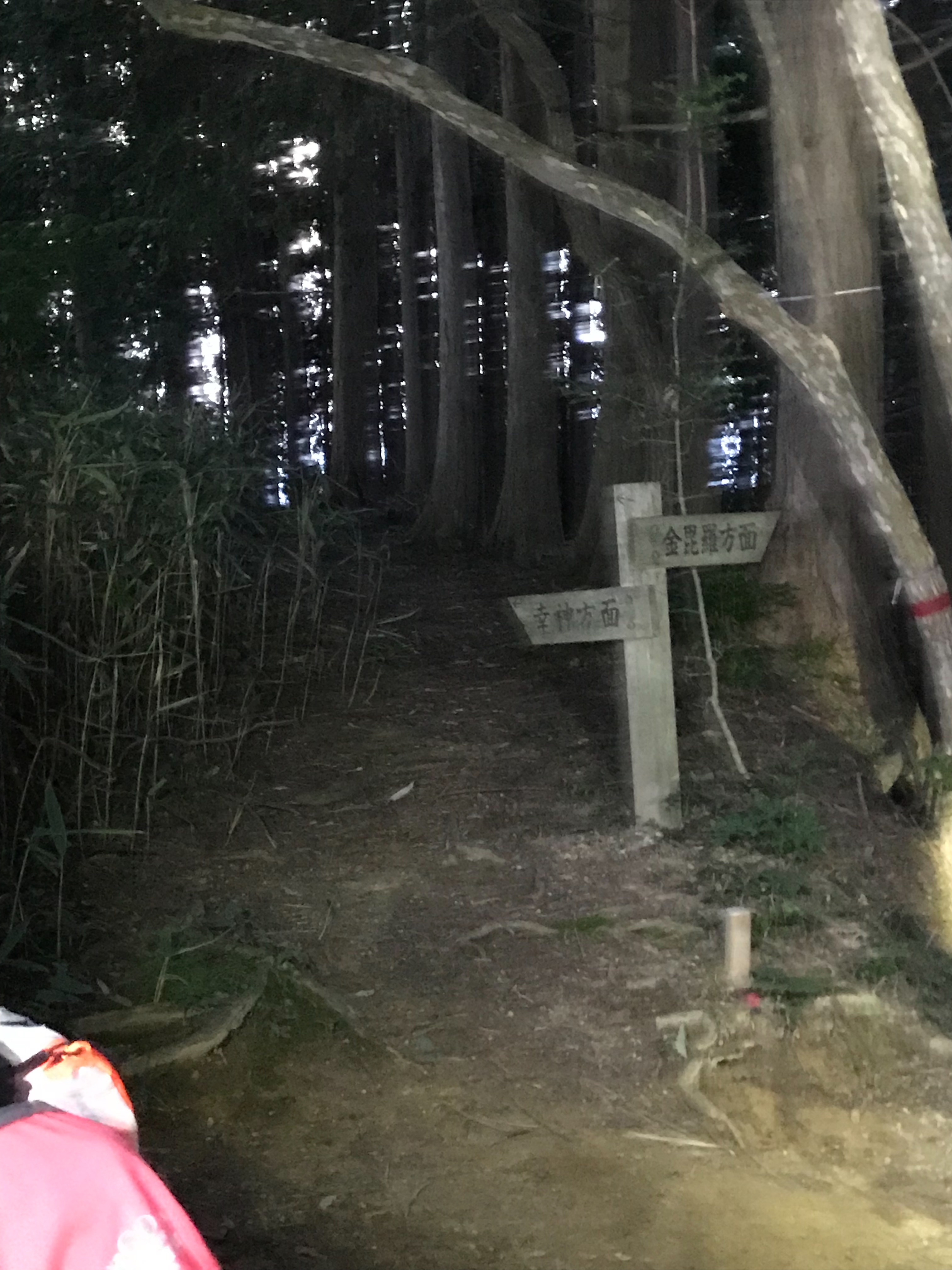 f:id:hatakofuru:20190810165338j:image