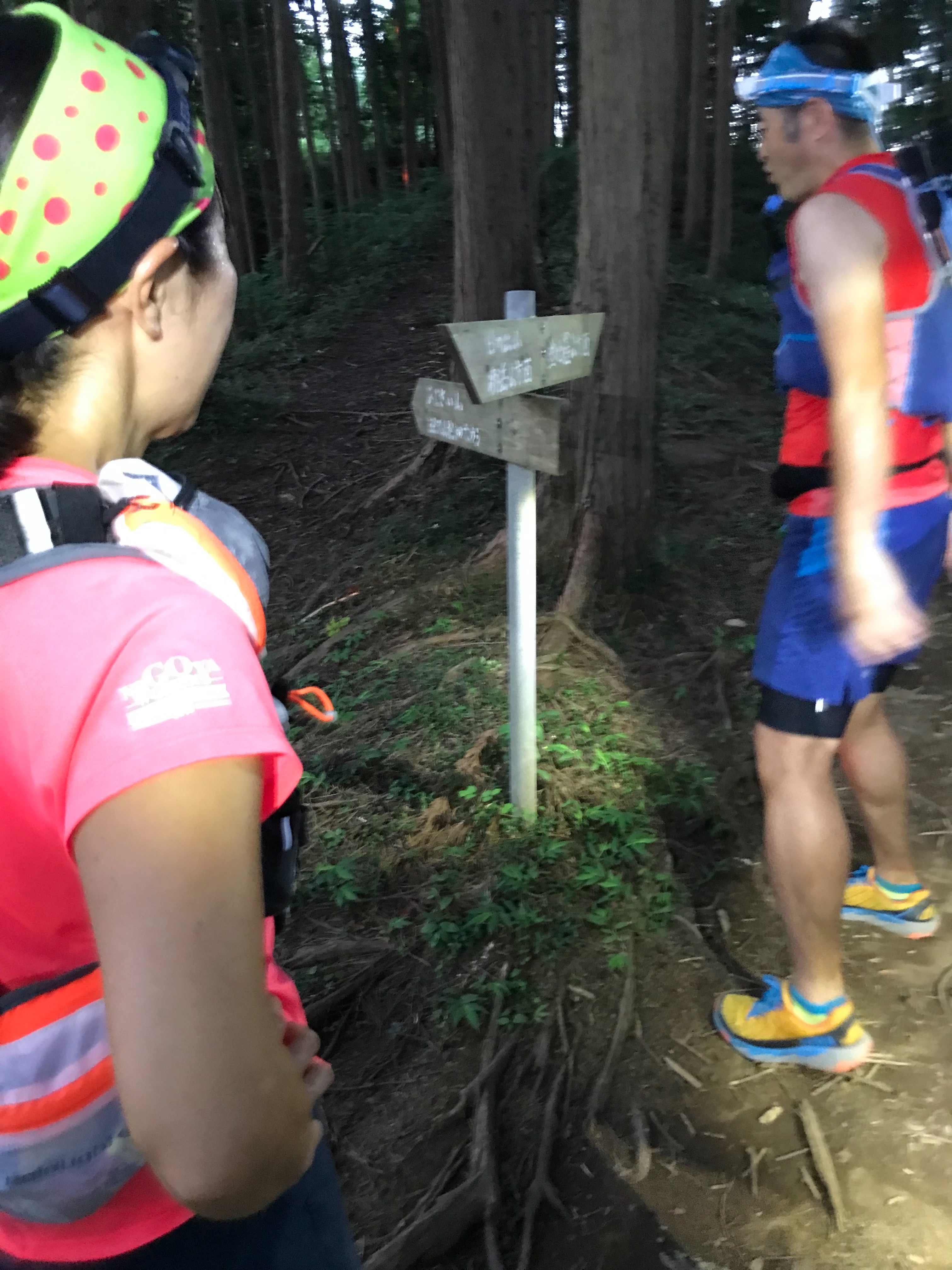 f:id:hatakofuru:20190810165441j:image
