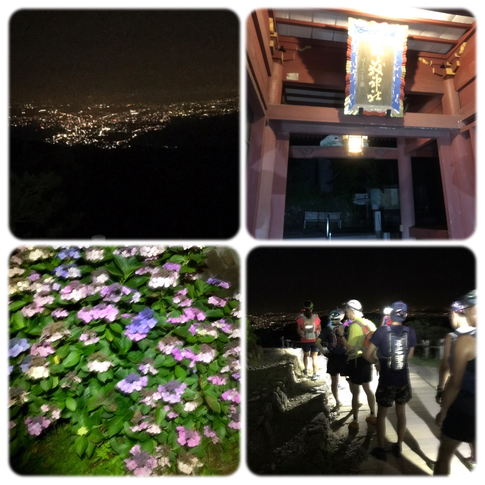 f:id:hatakofuru:20190810172100j:image