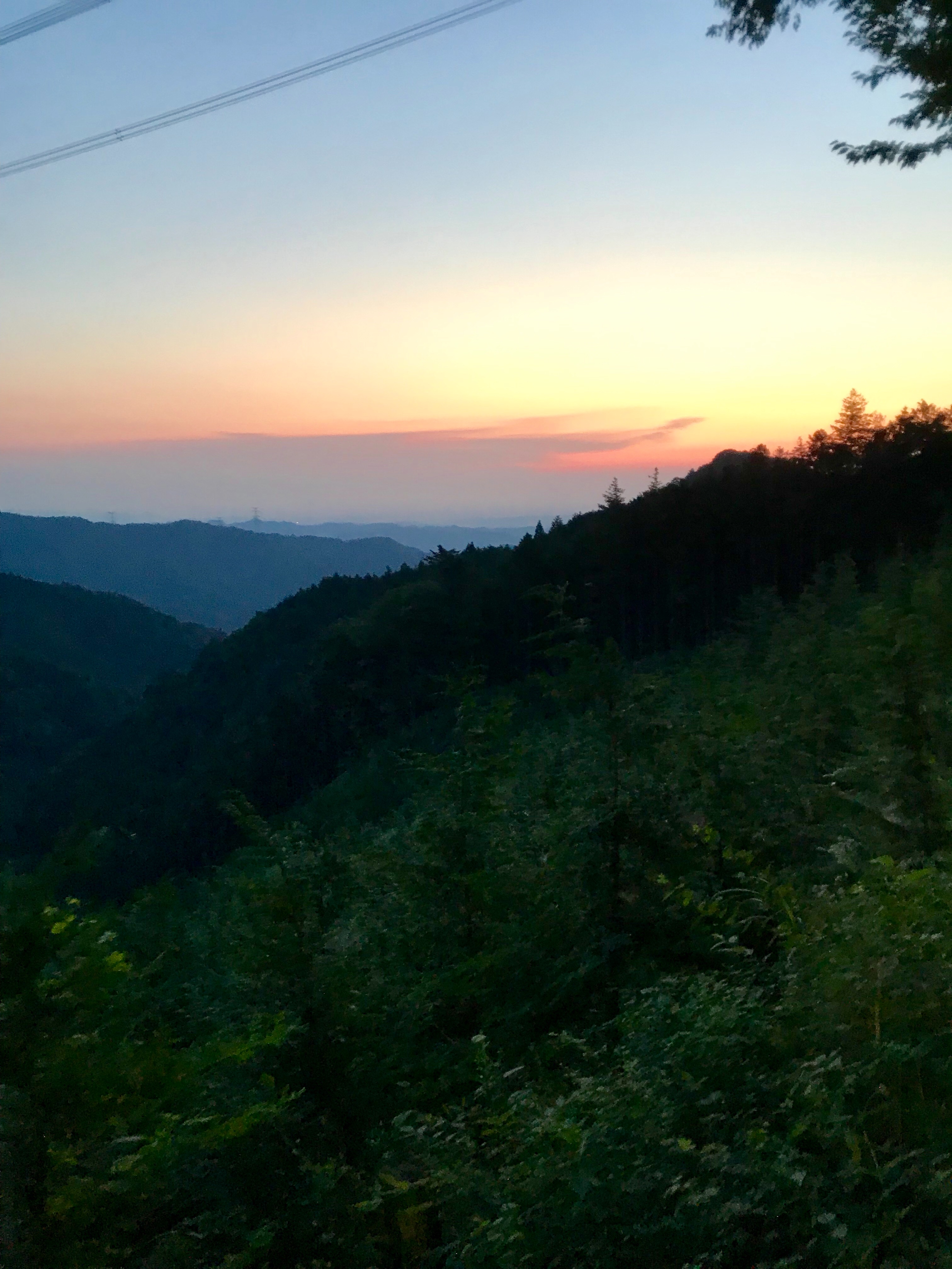 f:id:hatakofuru:20190810172837j:image