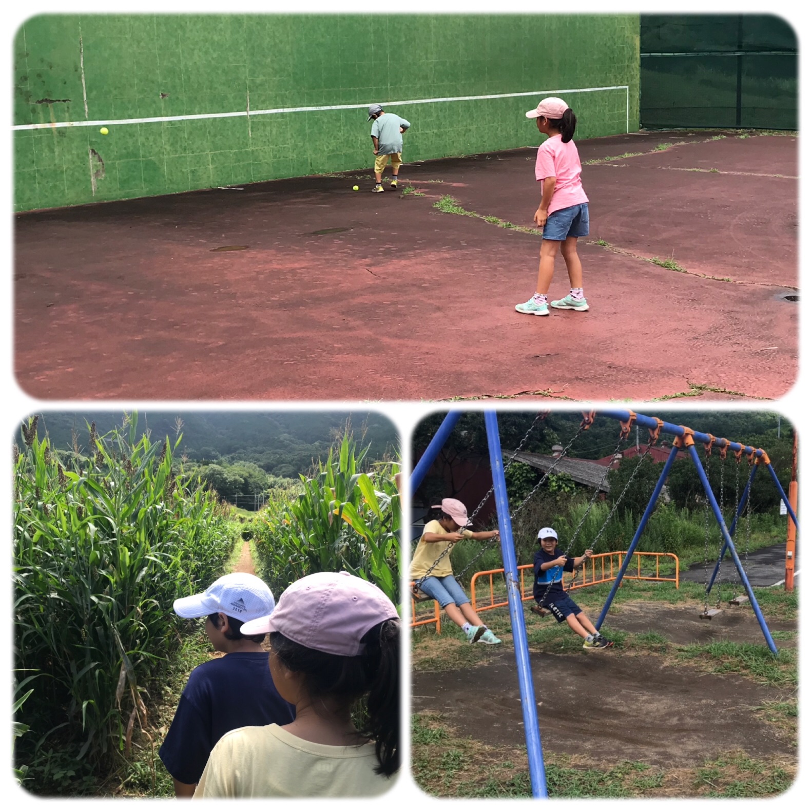 f:id:hatakofuru:20190815074344j:image f:id:hatakofuru:20190815074344j:image