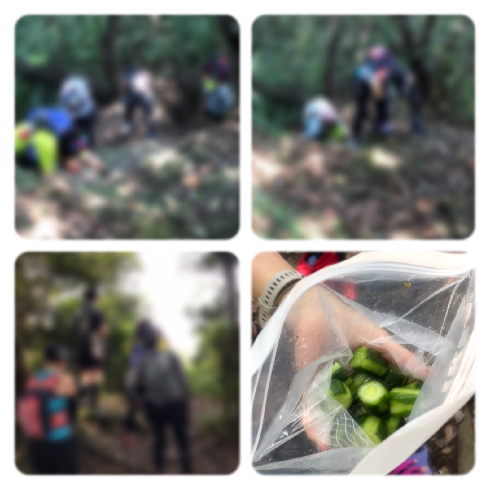 f:id:hatakofuru:20190819181232j:image f:id:hatakofuru:20190819181232j:image