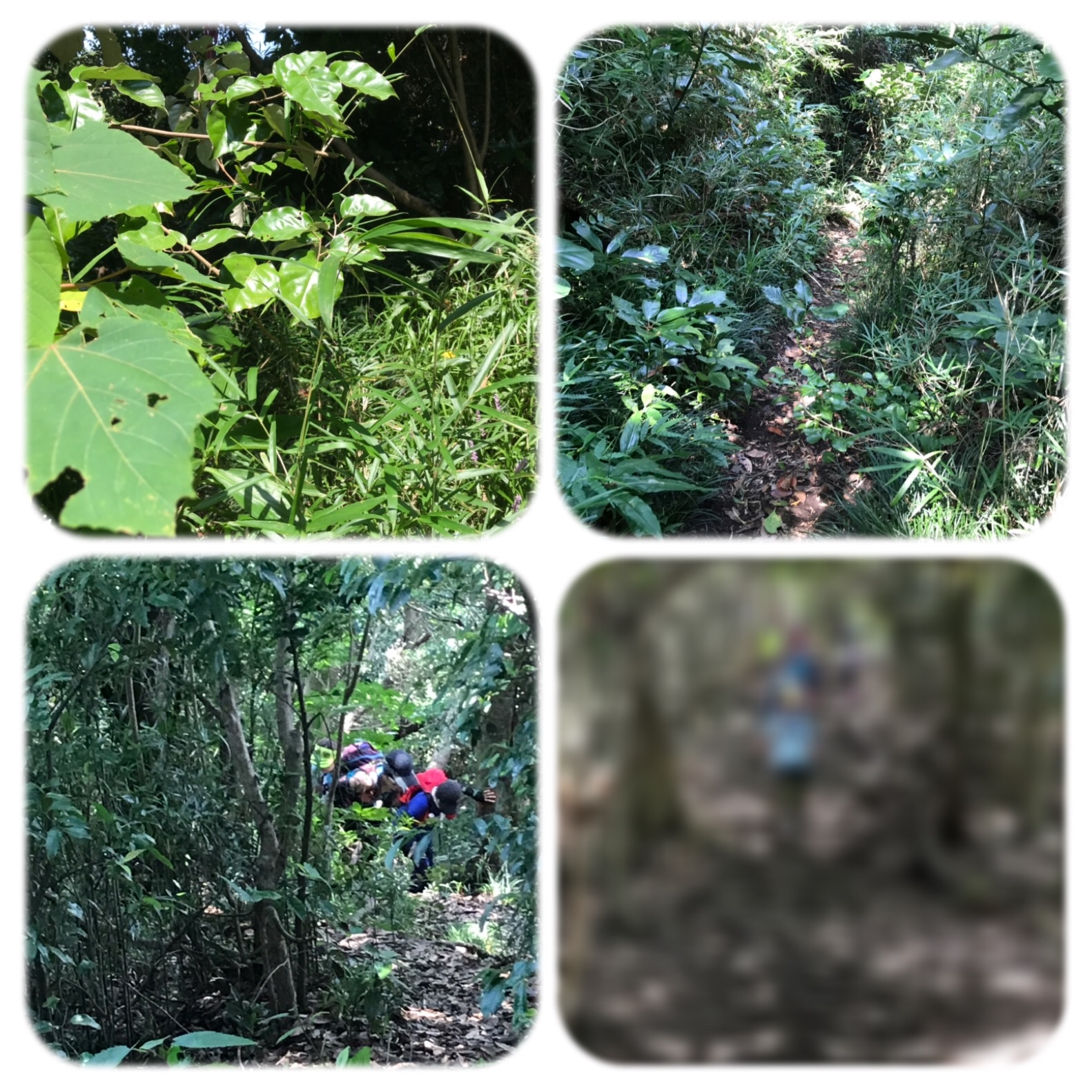 f:id:hatakofuru:20190819201004j:image f:id:hatakofuru:20190819201004j:image