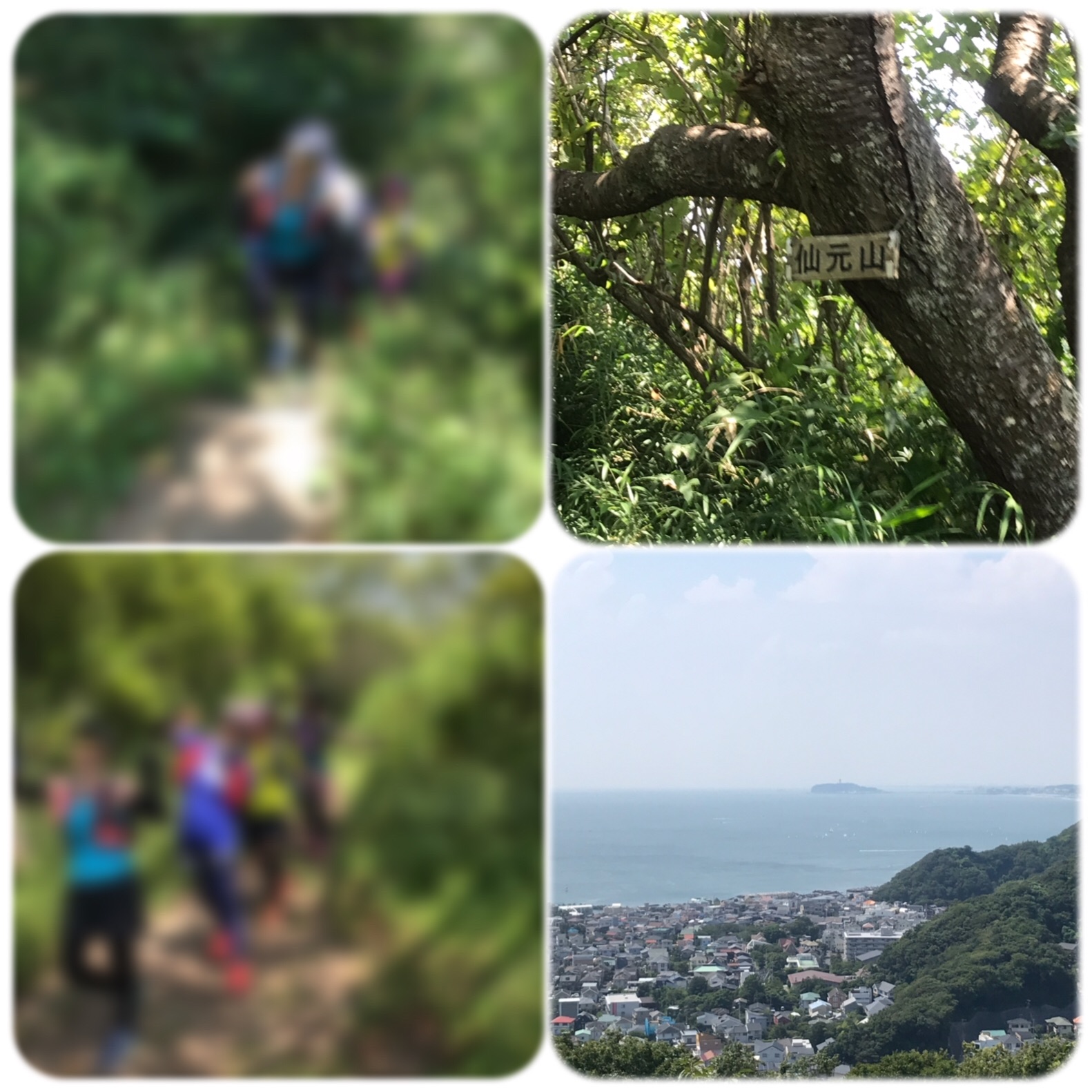 f:id:hatakofuru:20190819201933j:image f:id:hatakofuru:20190819201933j:image