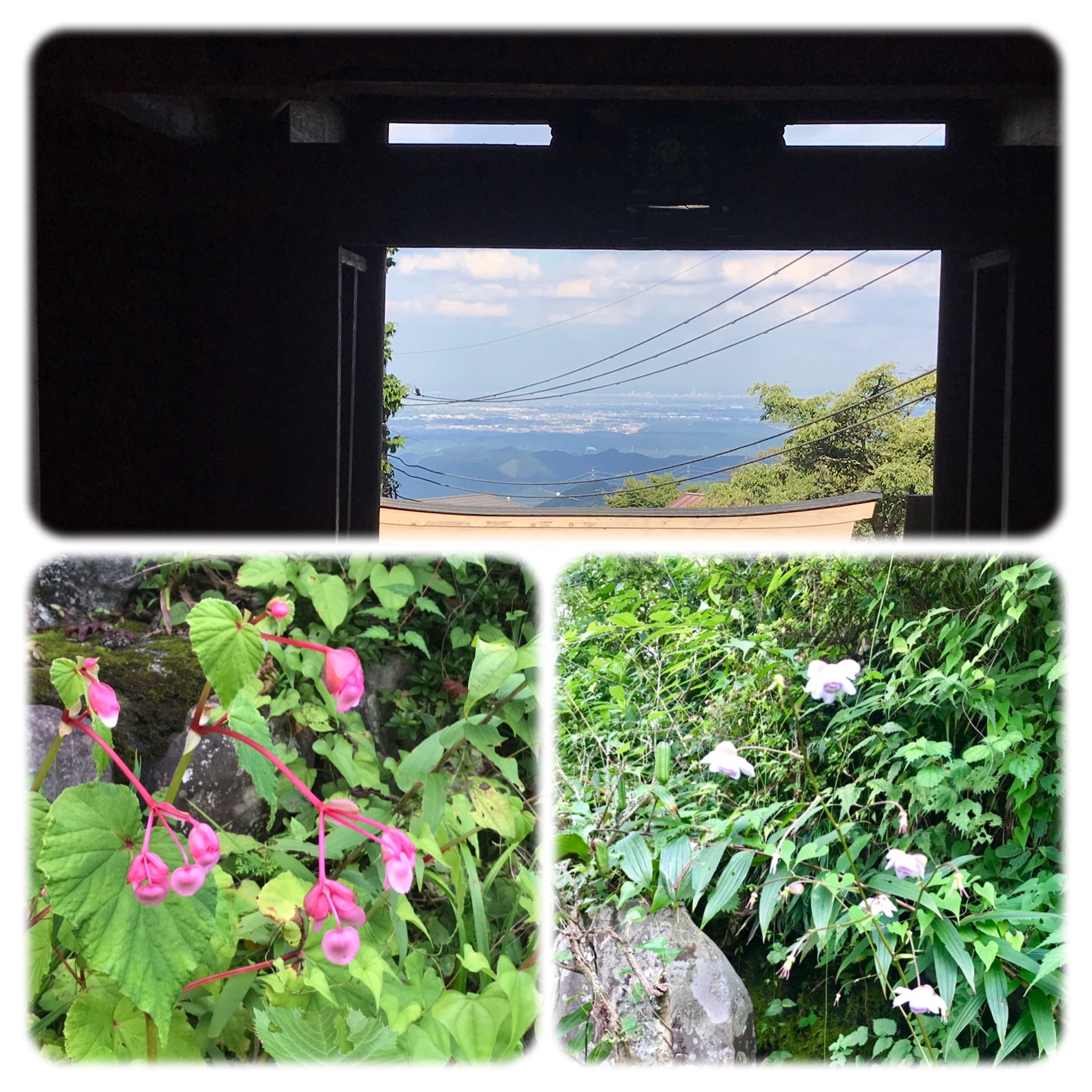 f:id:hatakofuru:20190908131239j:image