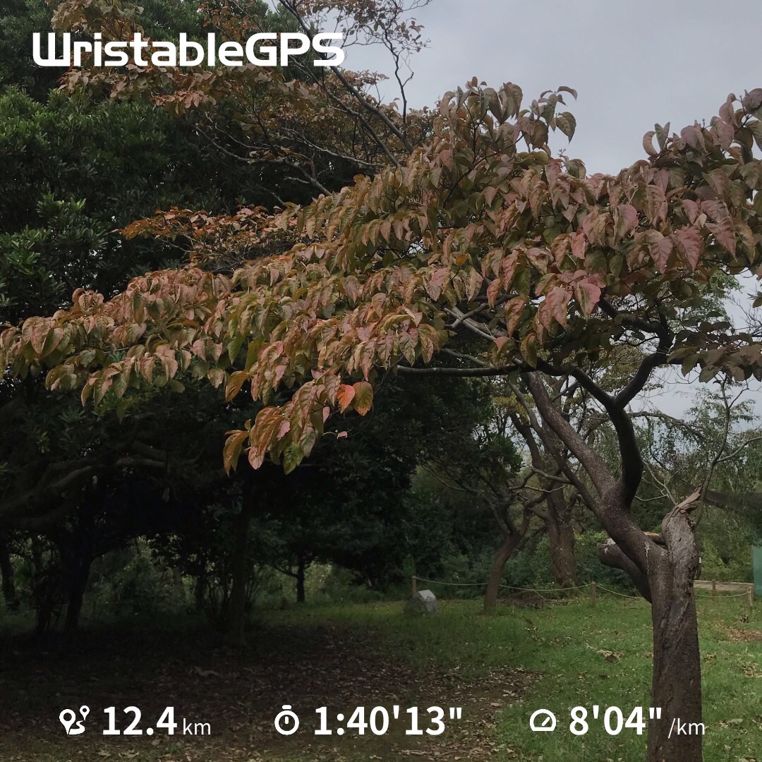 f:id:hatakofuru:20190915201058j:image f:id:hatakofuru:20190915201058j:image