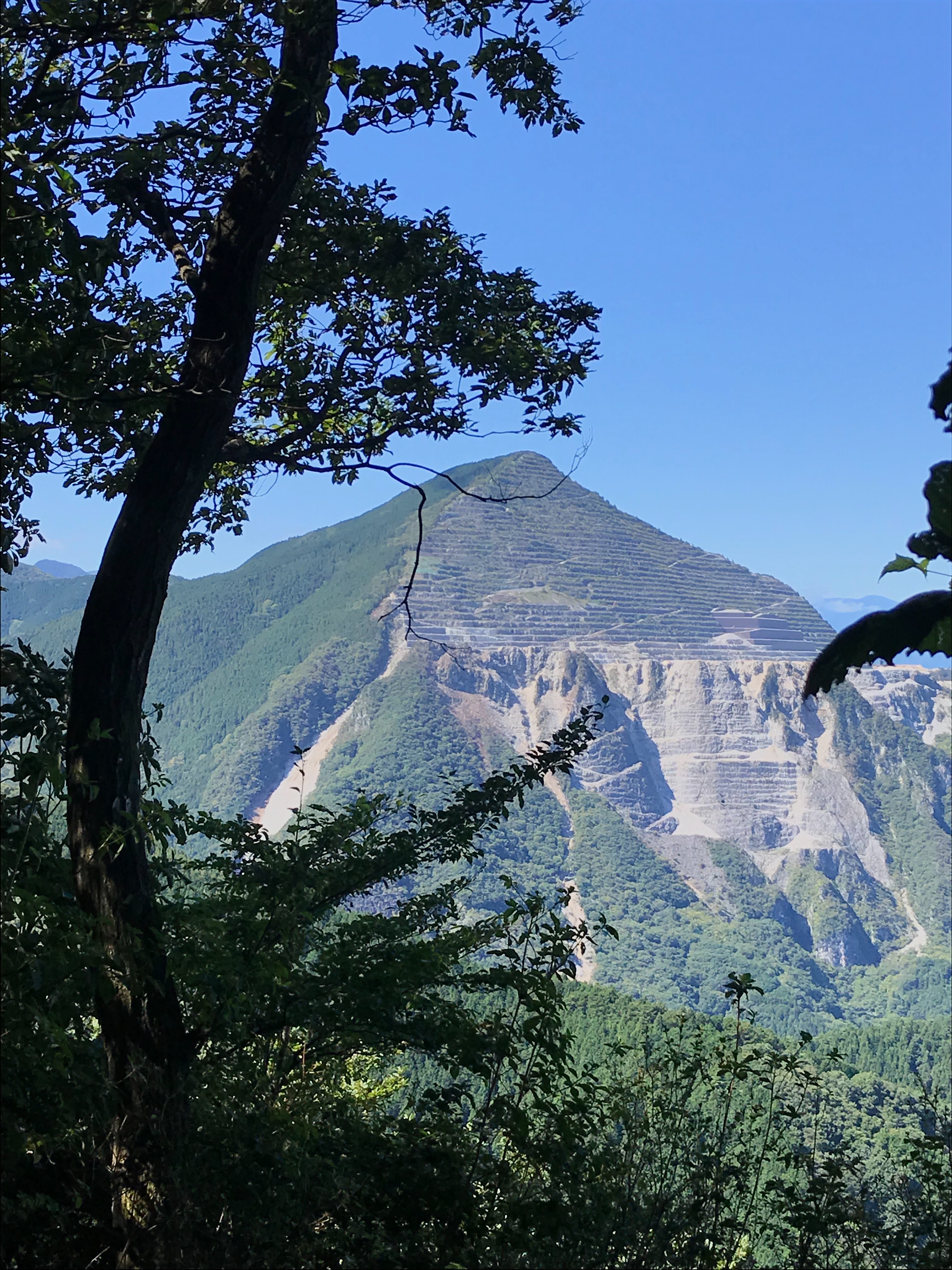 f:id:hatakofuru:20190921073921j:image f:id:hatakofuru:20190921073921j:image