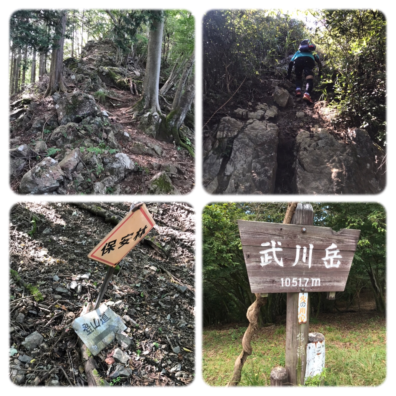 f:id:hatakofuru:20190921074143j:image f:id:hatakofuru:20190921074143j:image
