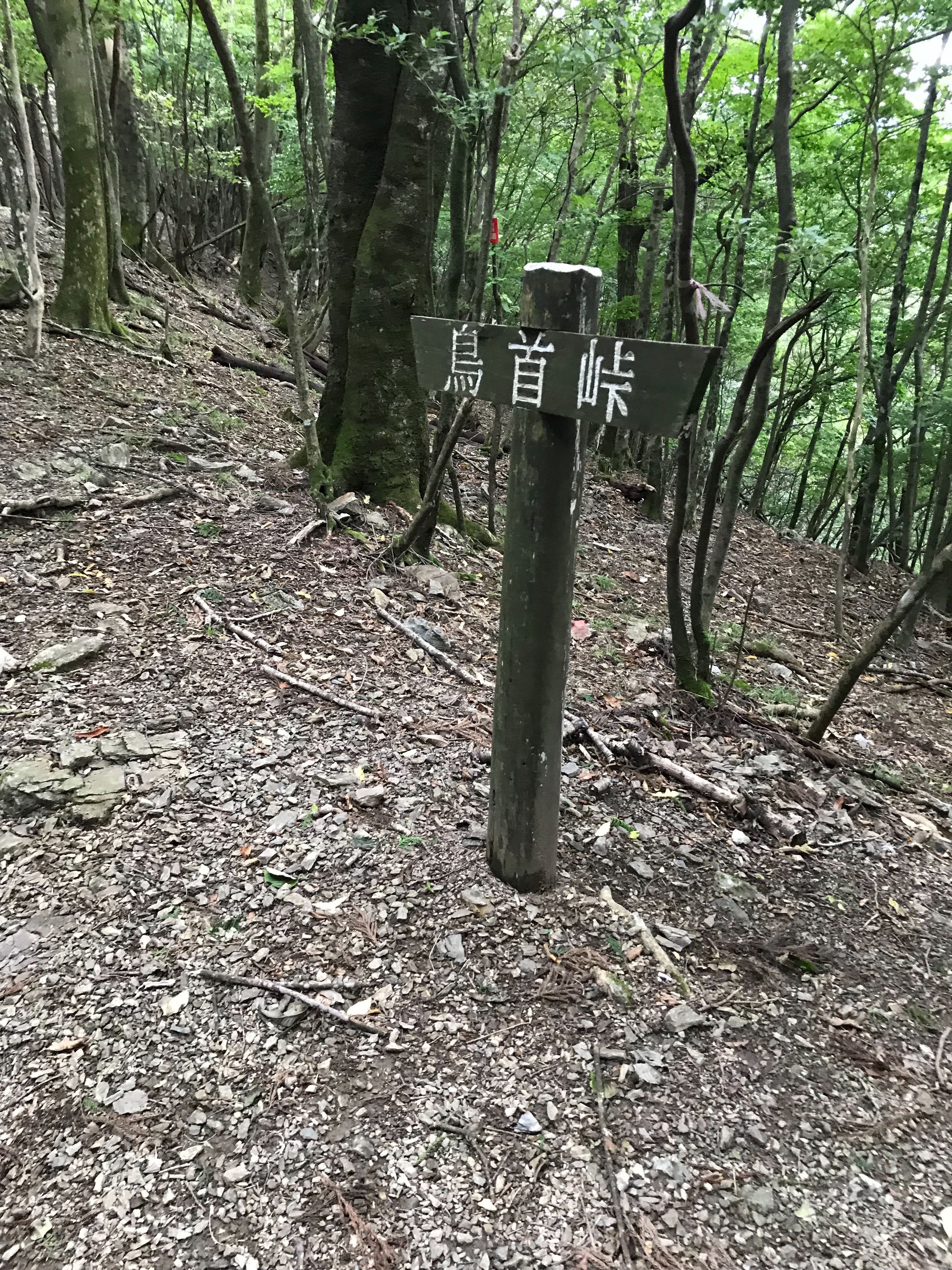 f:id:hatakofuru:20190921084953j:image f:id:hatakofuru:20190921084953j:image