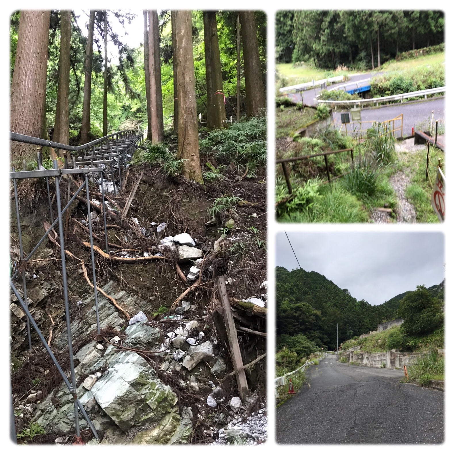 f:id:hatakofuru:20190921085438j:image f:id:hatakofuru:20190921085438j:image