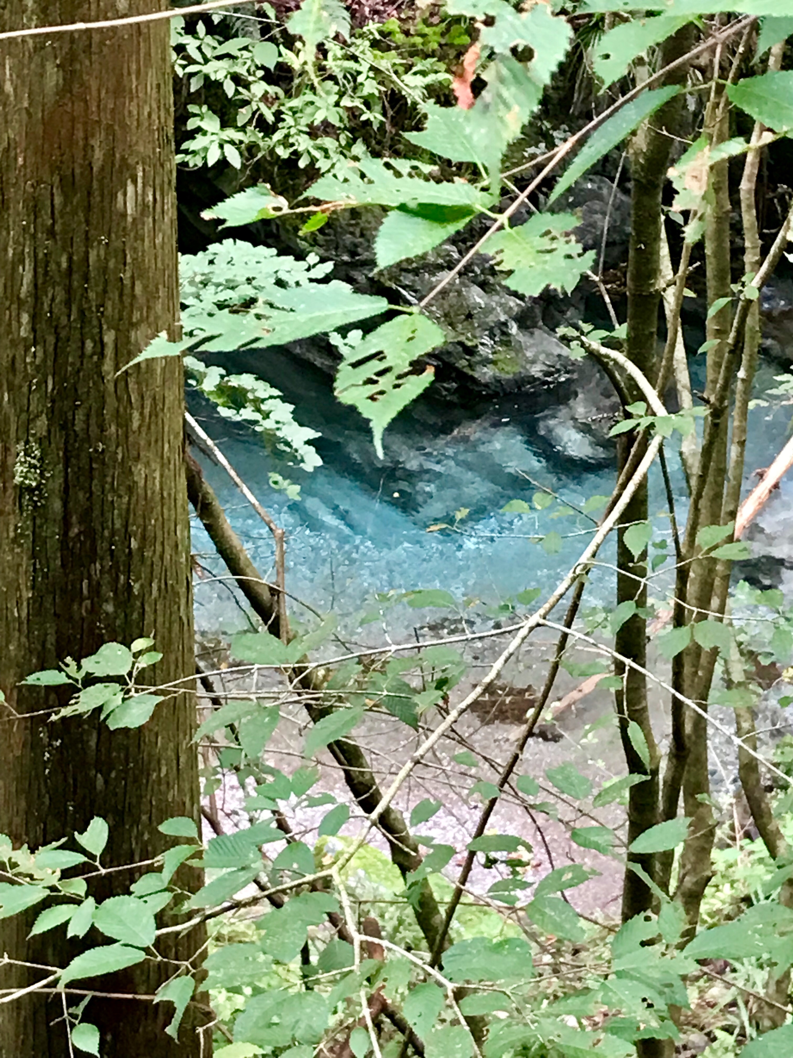 f:id:hatakofuru:20190921085604j:image f:id:hatakofuru:20190921085604j:image