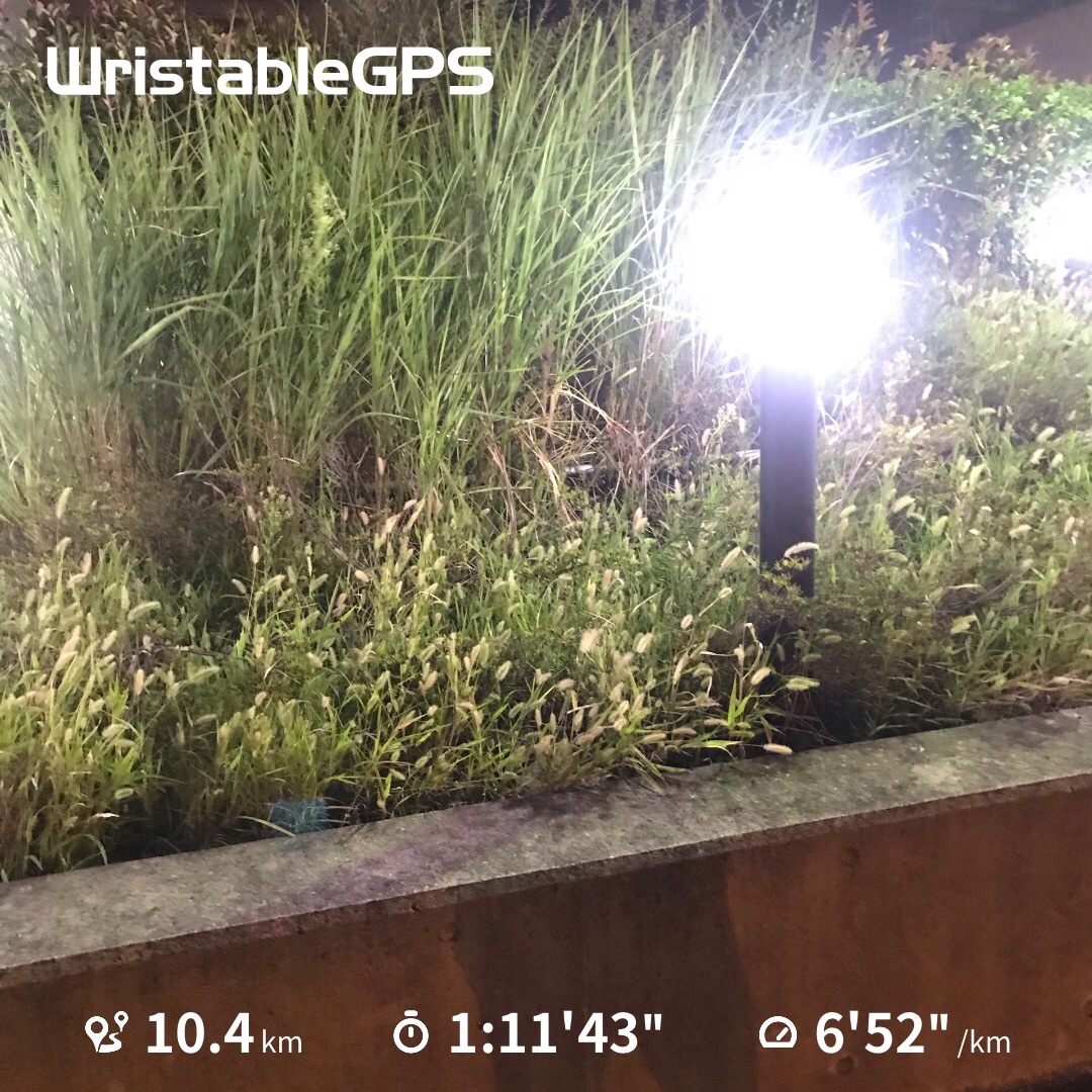 f:id:hatakofuru:20190926110255j:image f:id:hatakofuru:20190926110255j:image