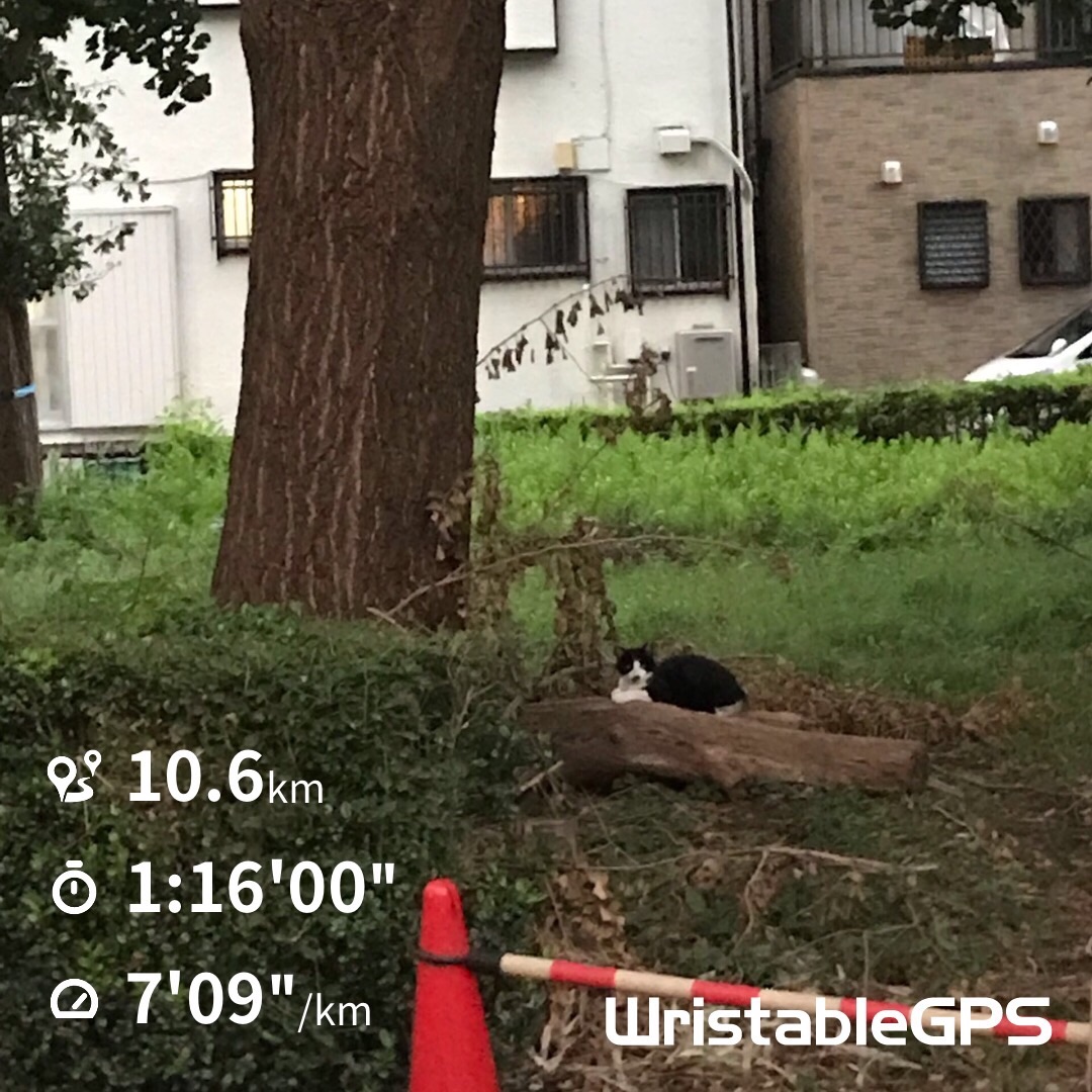 f:id:hatakofuru:20190926110505j:image f:id:hatakofuru:20190926110505j:image