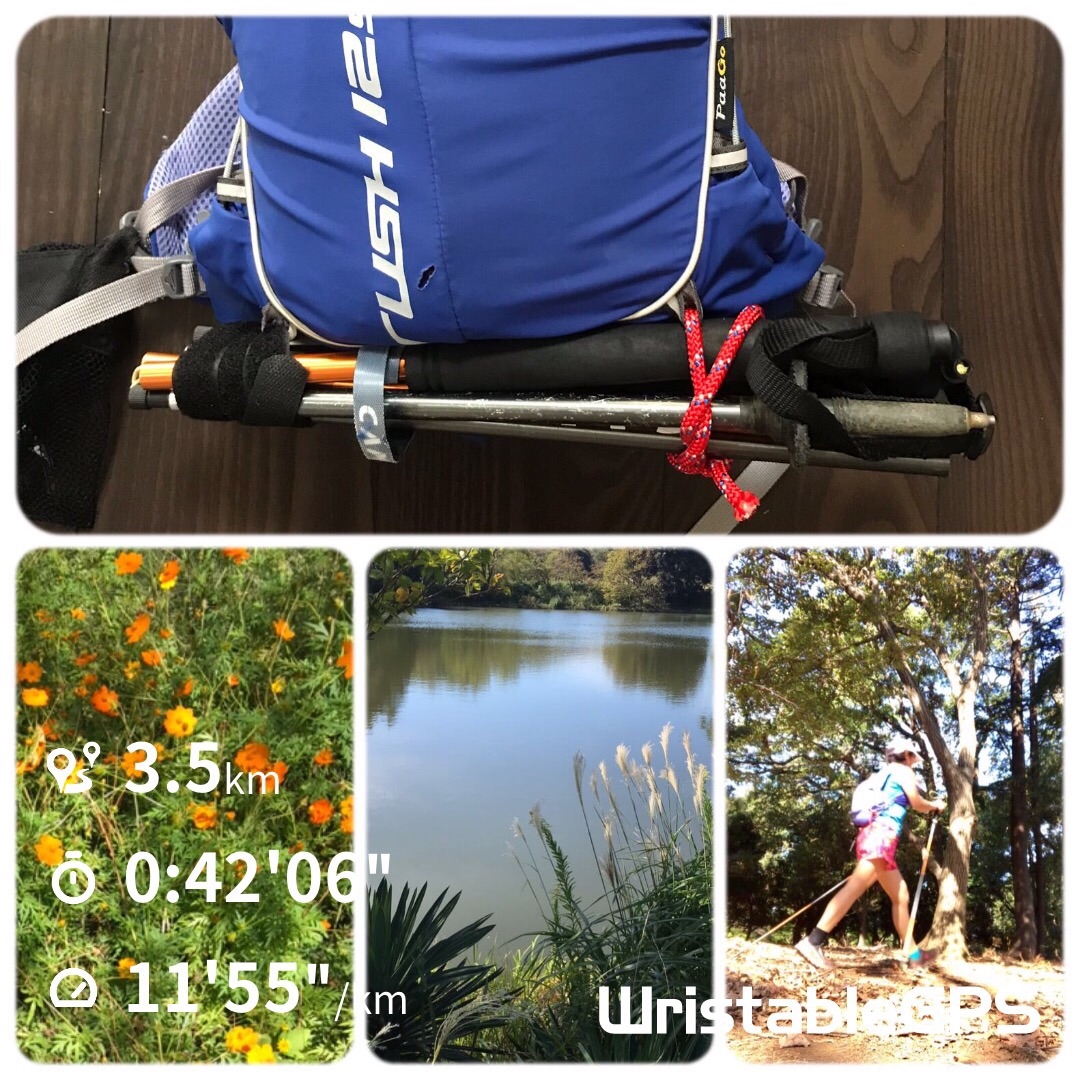 f:id:hatakofuru:20191007122344j:image