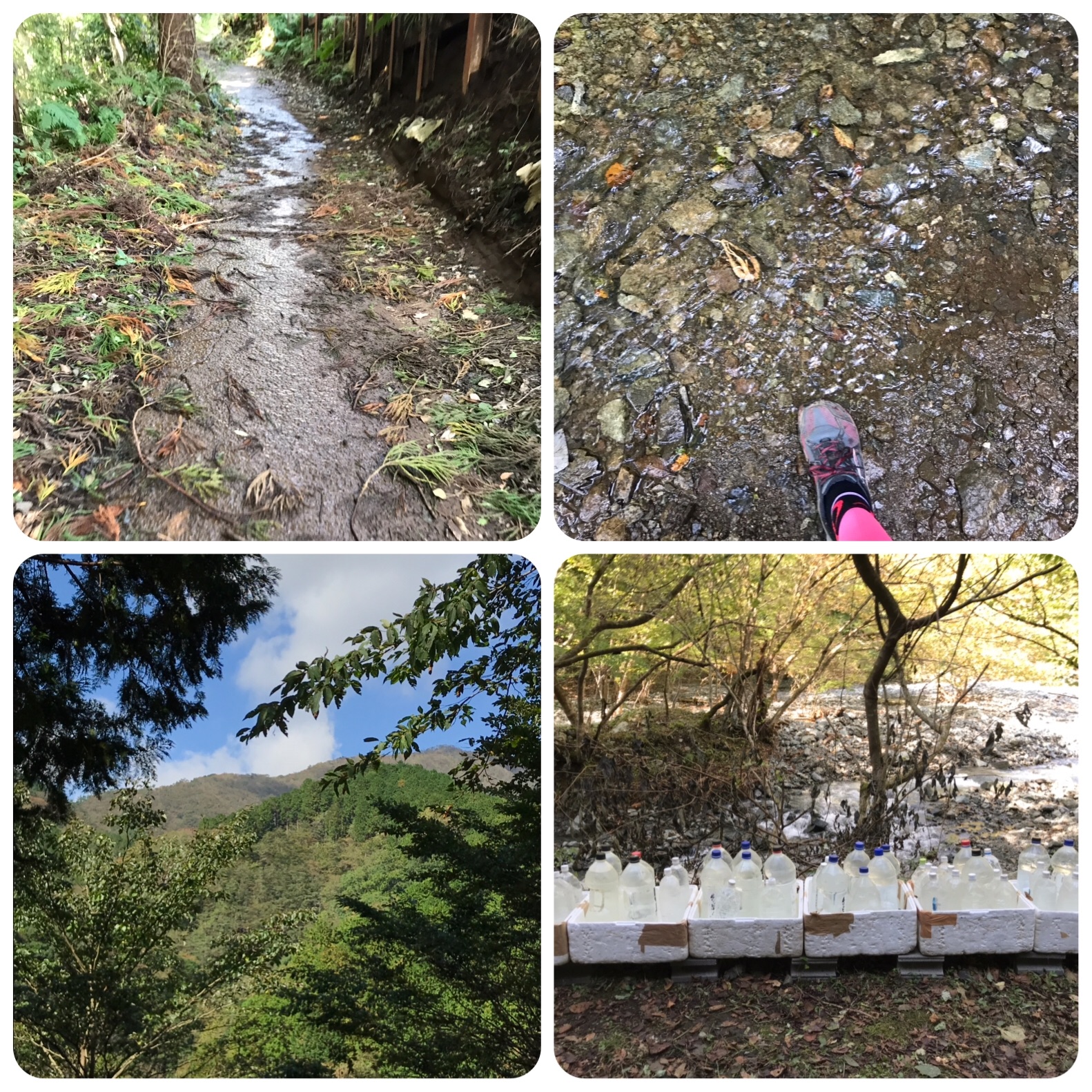 f:id:hatakofuru:20191029082357j:image f:id:hatakofuru:20191029082357j:image