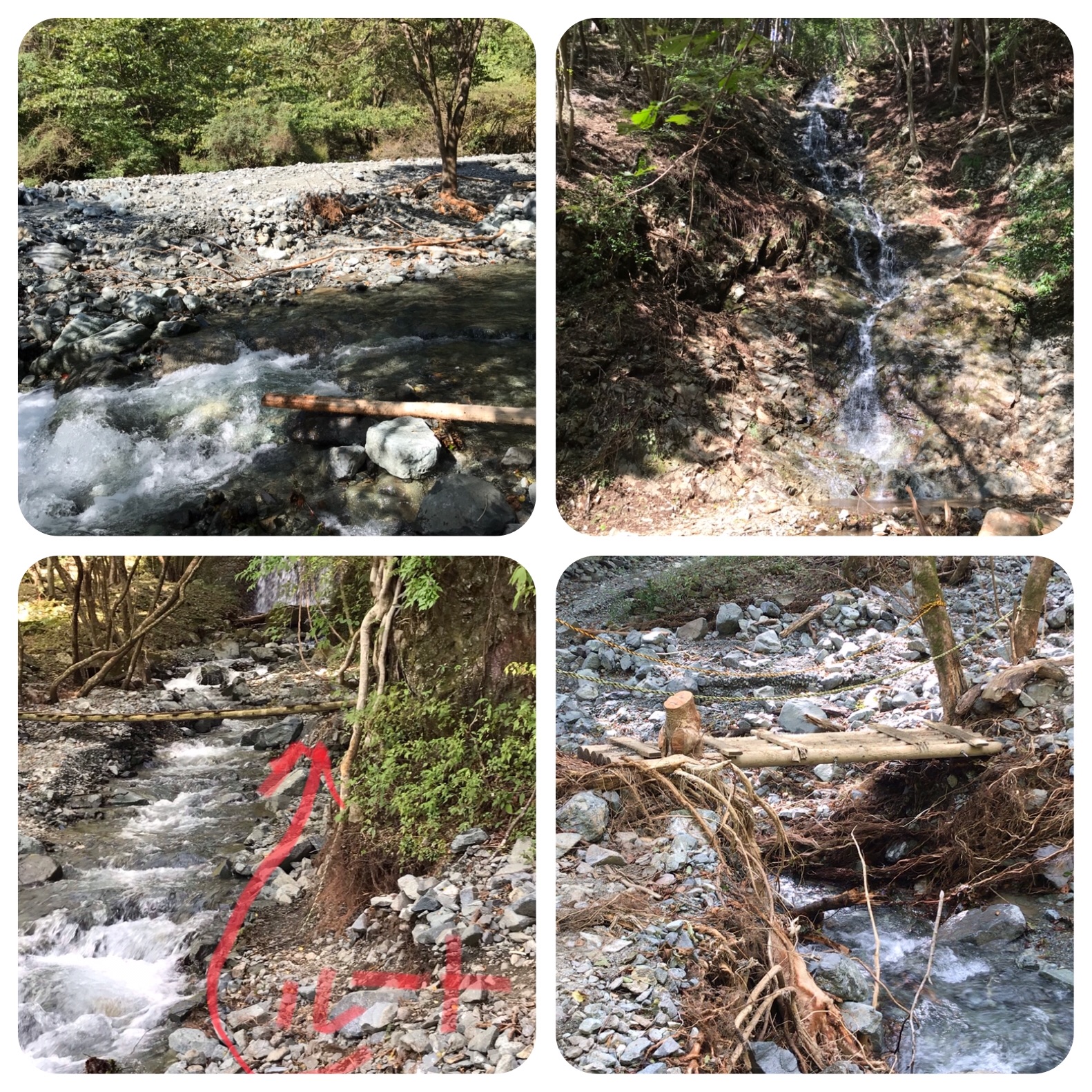 f:id:hatakofuru:20191029082742j:image