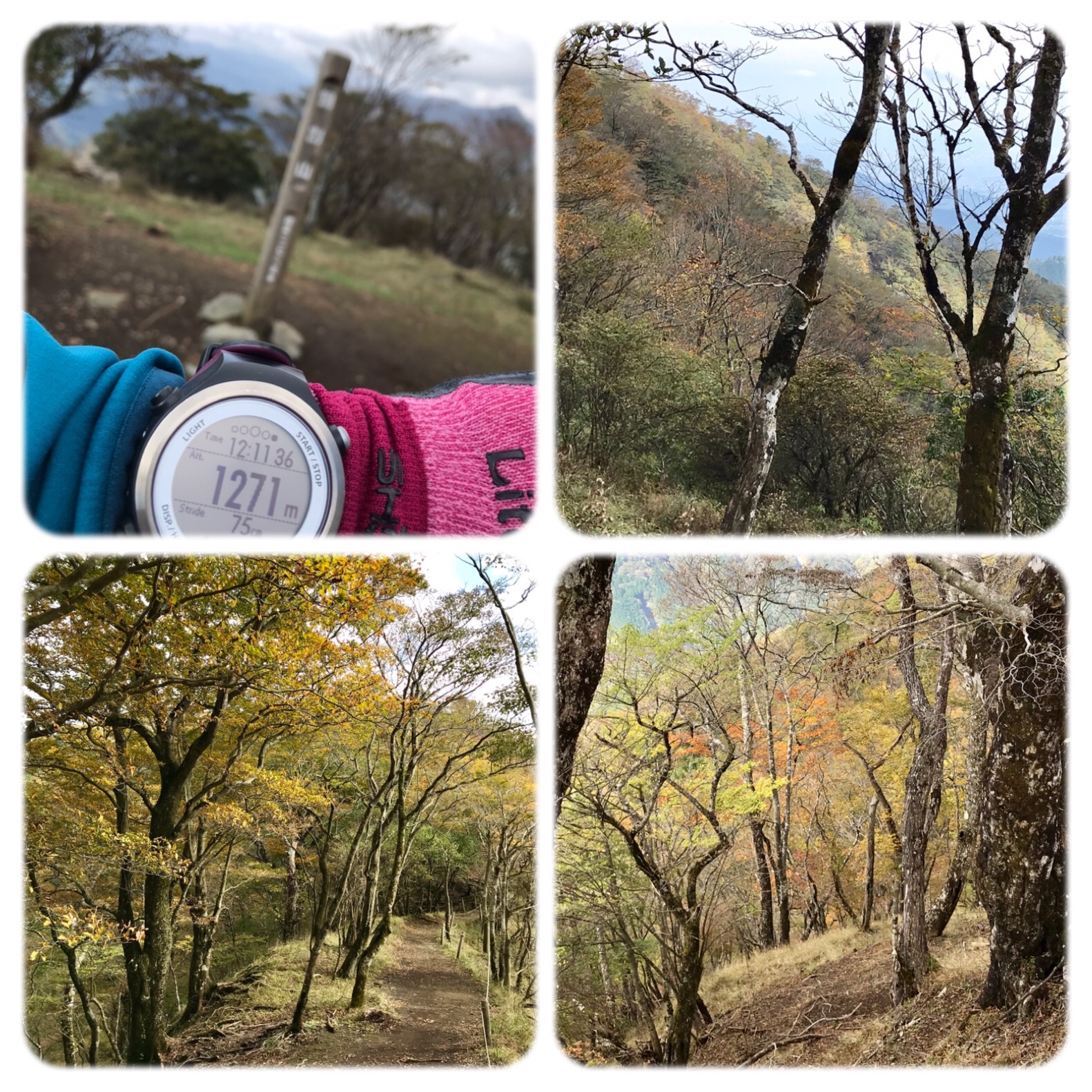 f:id:hatakofuru:20191029165537j:image f:id:hatakofuru:20191029165537j:image