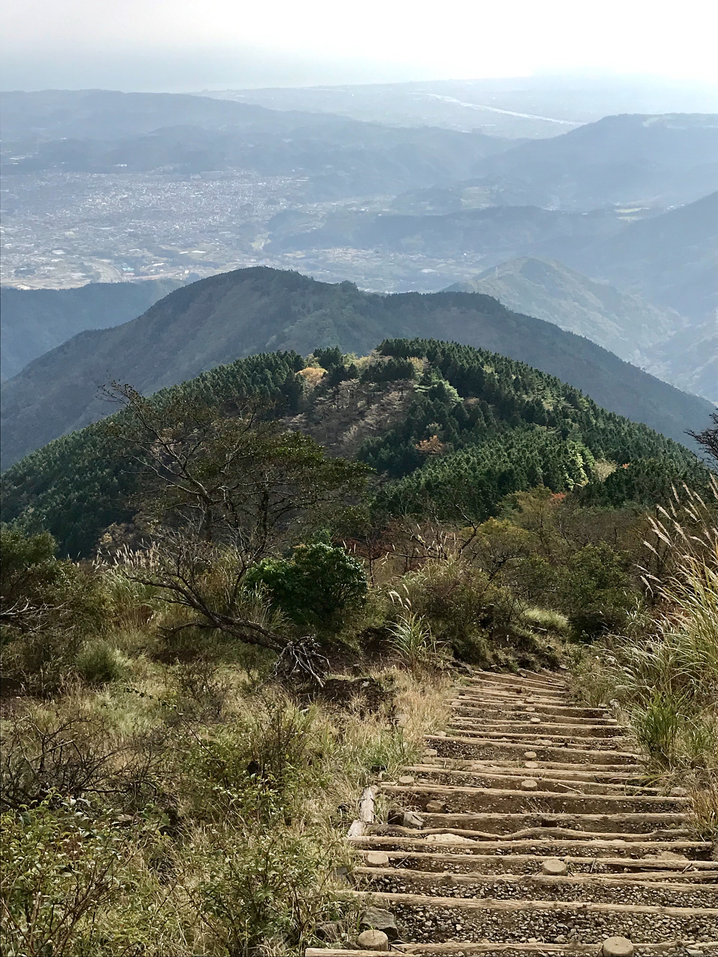 f:id:hatakofuru:20191029201418j:image f:id:hatakofuru:20191029201418j:image